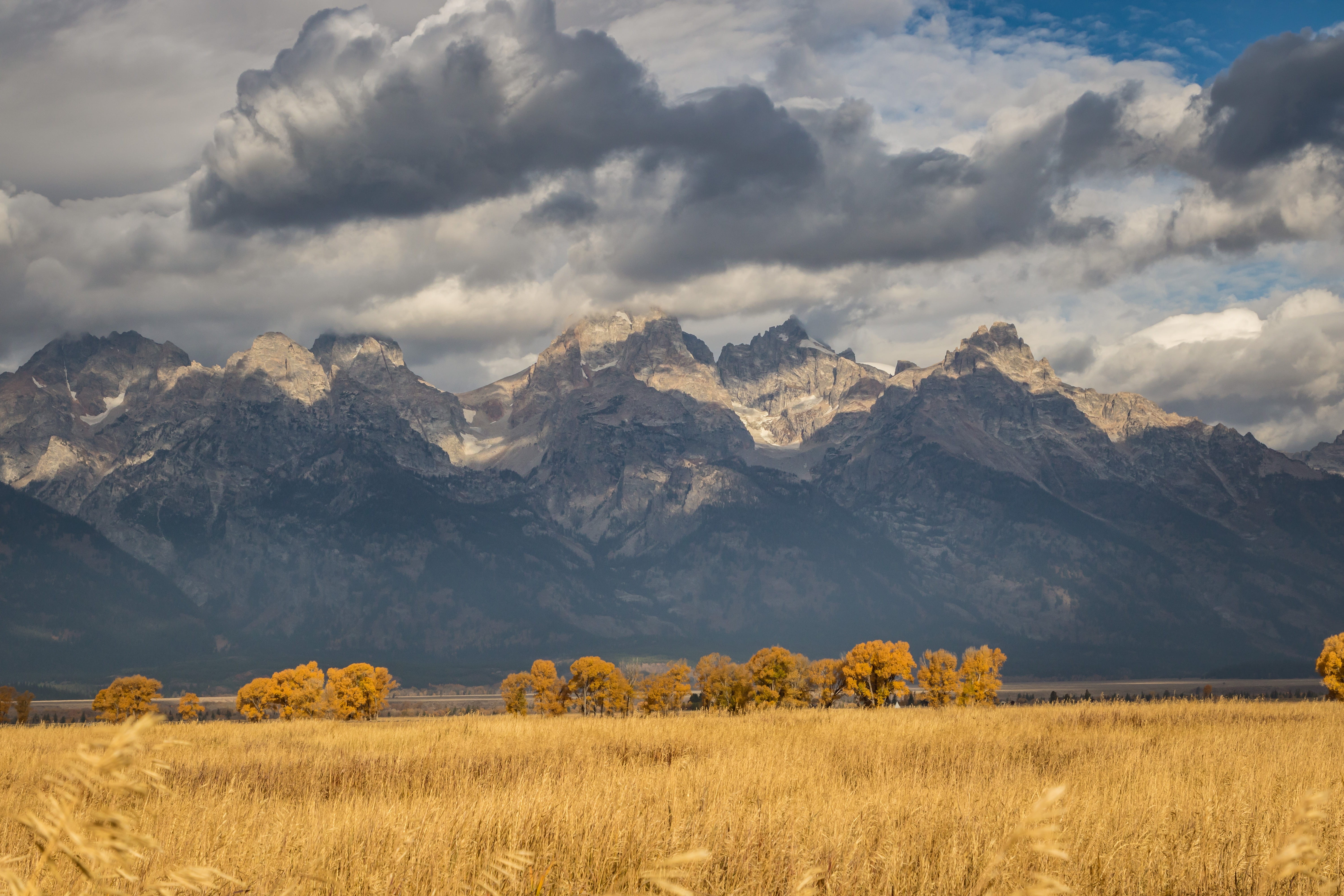 weather, cumulus, grand teton national park, united states, landscape, grass, field, brown, cloud - sky, mountain, near, non-urban scene, plant, cloud, HD Wallpaper