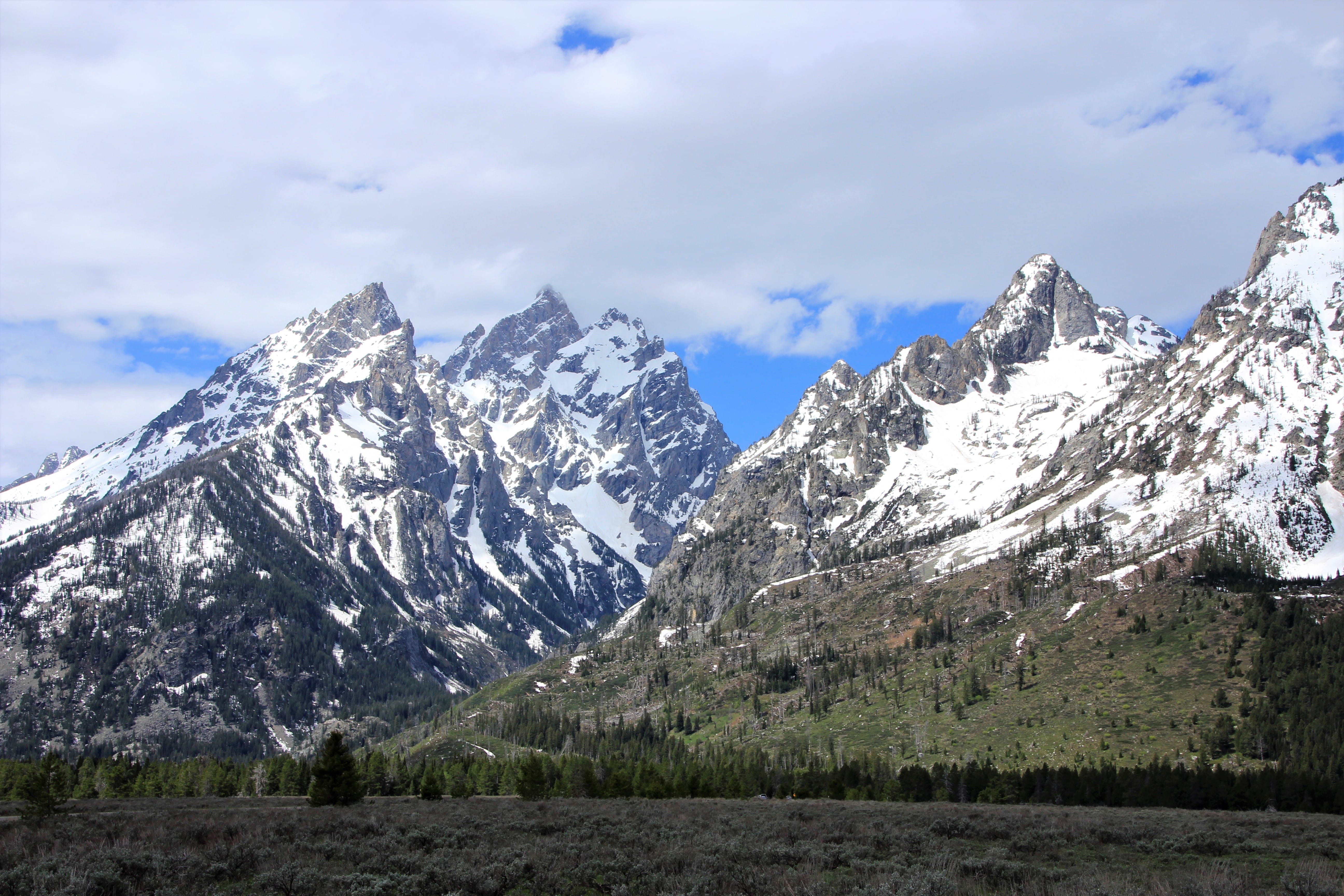 5K, winter, sky, fir, teton, slope, sage, no people, grand teton national park, nature, mountain, day, mountain peak, covered, cloud - sky, tree, grand, HD Wallpaper