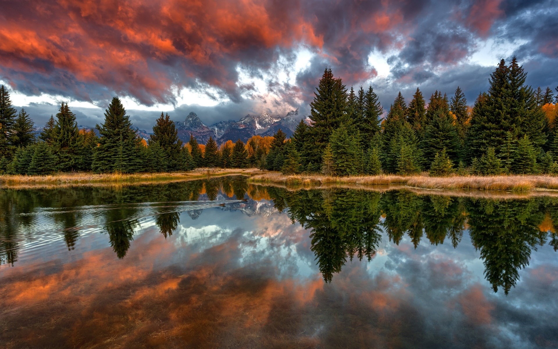 Grand, River, Teton, Park, Trees, USA, National, Snake, Mountains, Wyoming, 1080P, HD Wallpaper