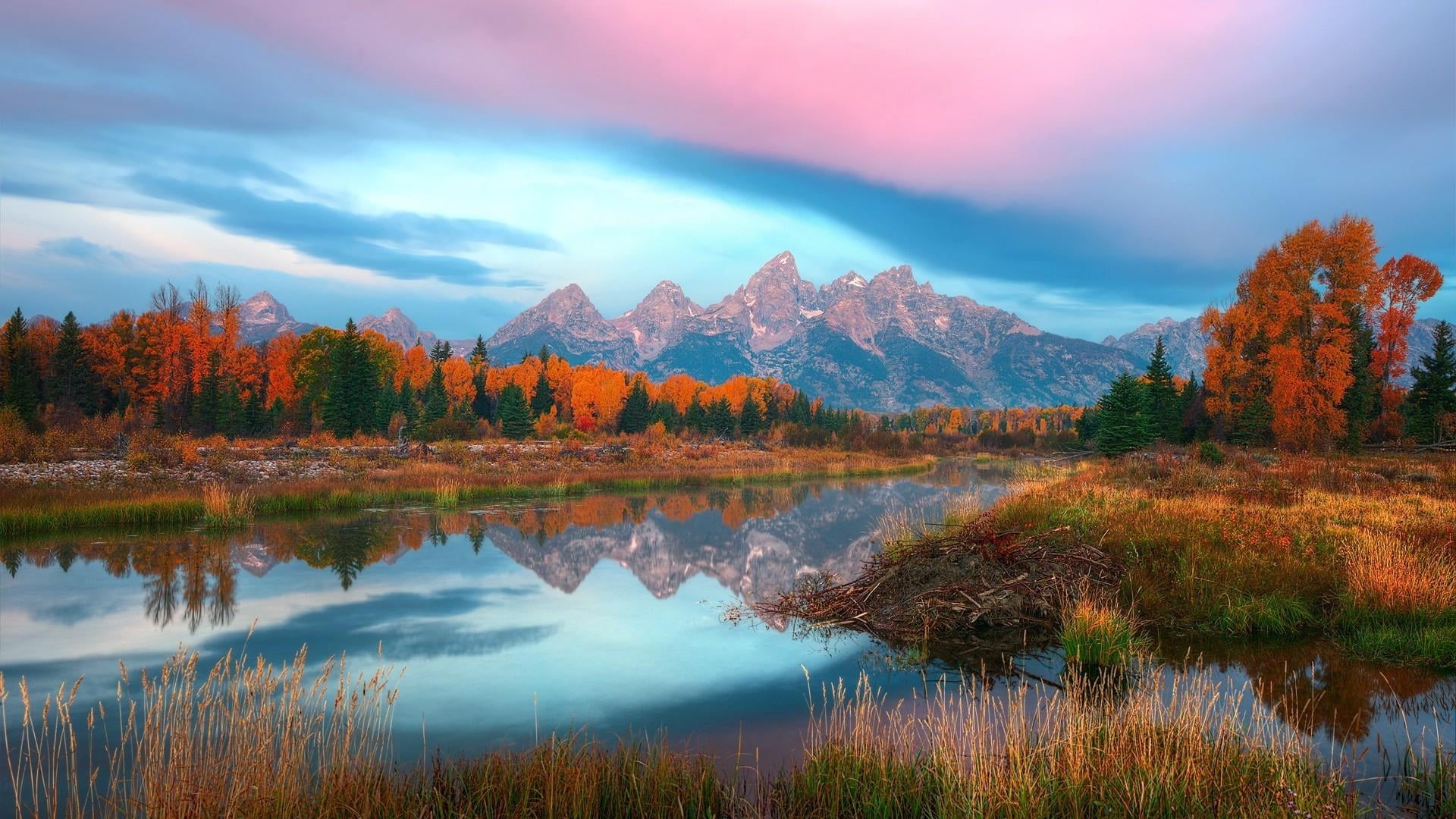 1080P, snake river, reflection lake, non-urban scene, change, tree, grand teton national park, growth, nature, sky, reflection, idyllic, autumn collection, HD Wallpaper