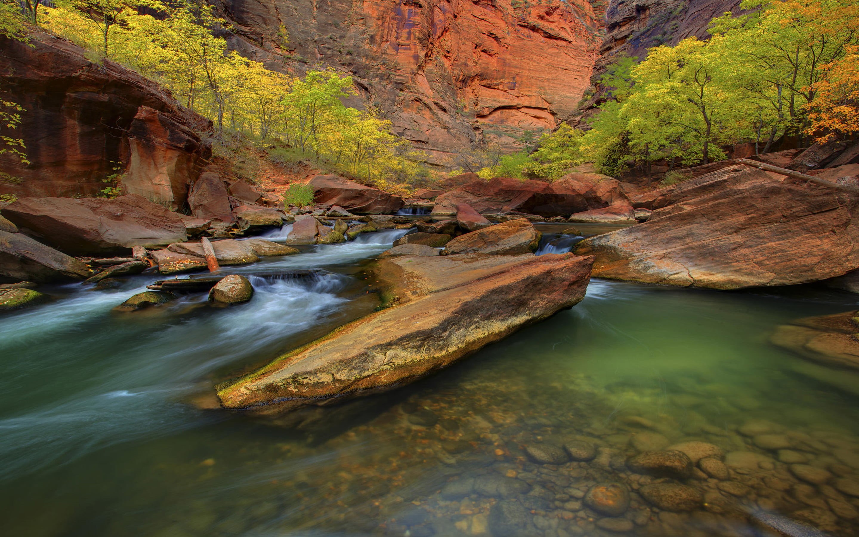 physical geography, formation, eroded, water, clear, service, beauty in nature, day, 2K, tree, flowing, non-urban scene, nature, land, tranquil scene, HD Wallpaper