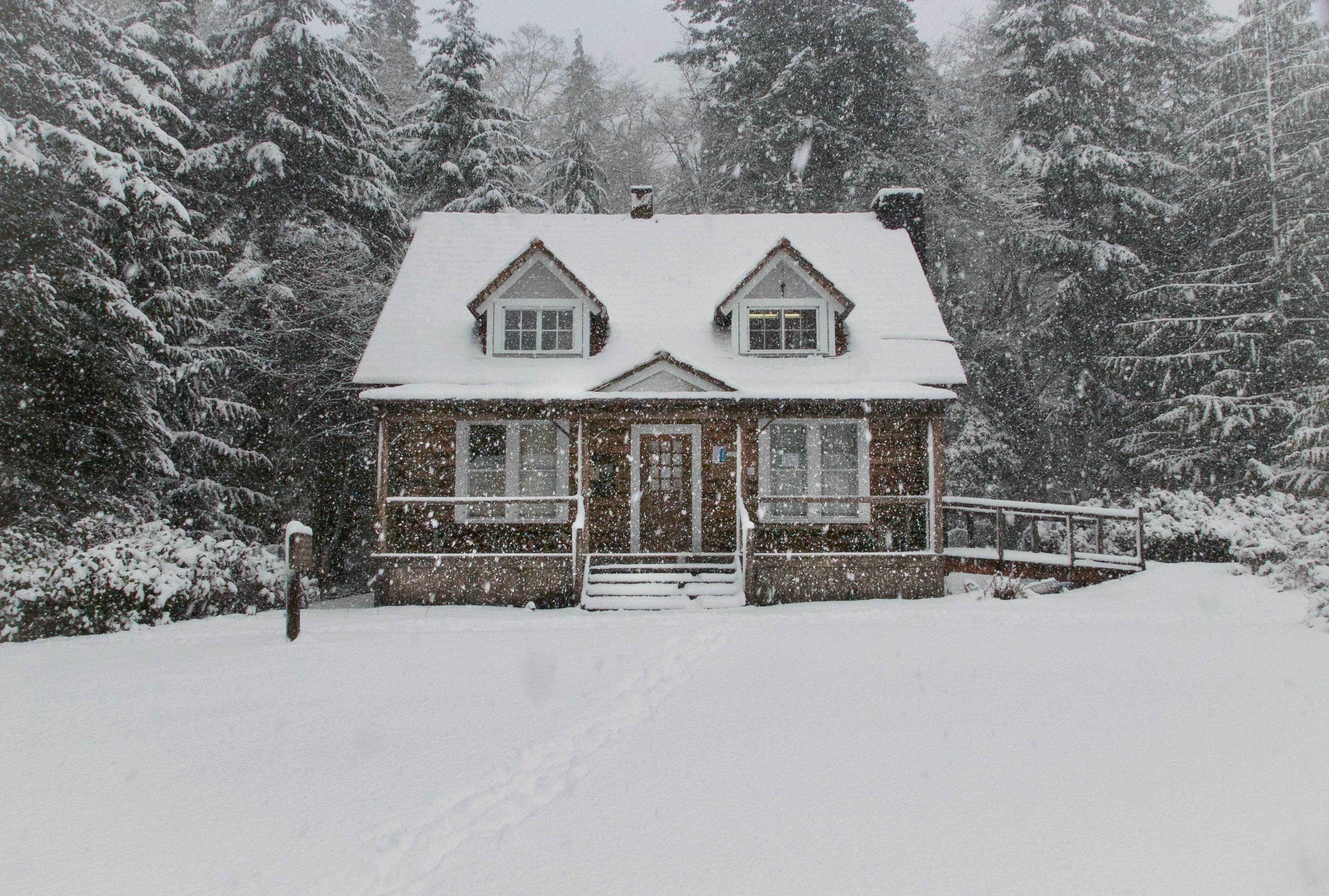near, forest, building exterior, scenics - nature, land, blizzard, fir tree, residential district, pine tree, 4K, np, outdoors, winter, building, tree, HD Wallpaper