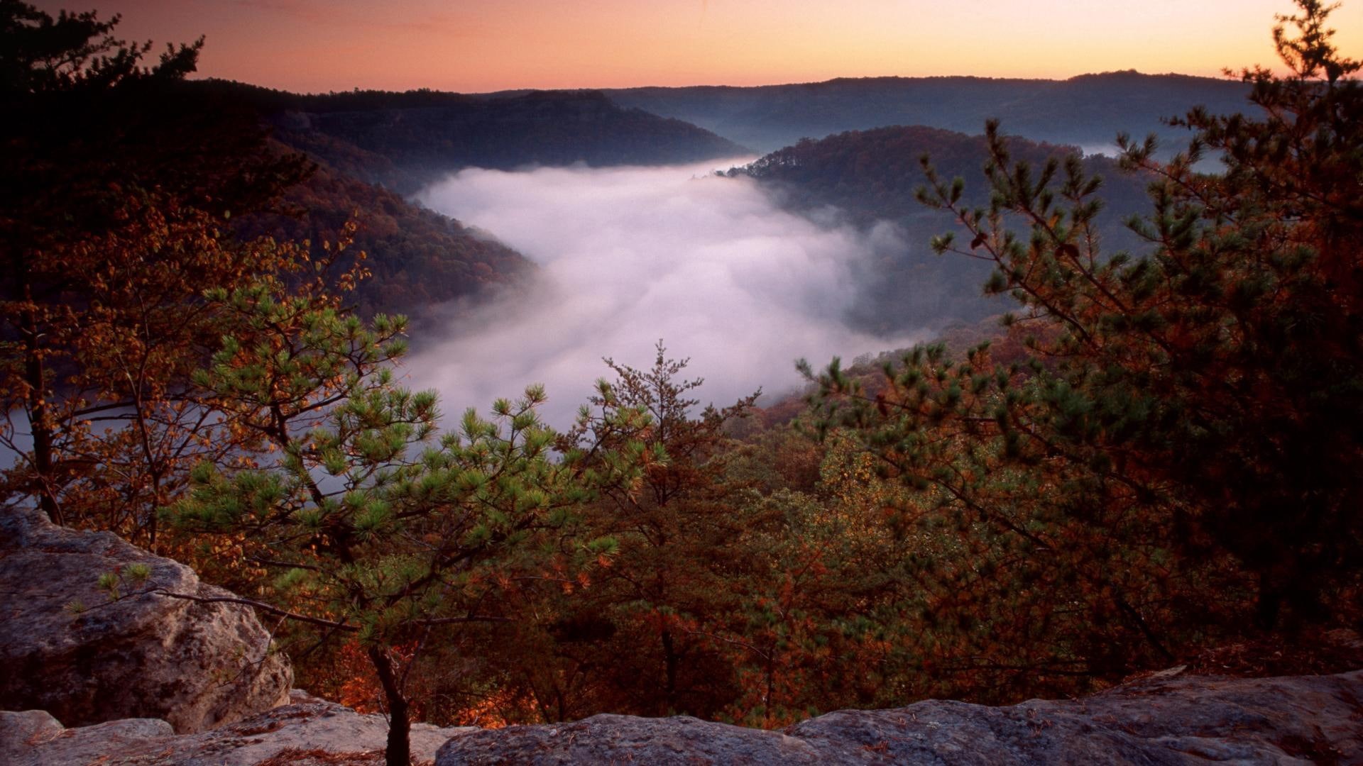 red, 1080P, gorge, morning, np, nature and landscapes, river, kentuky, boone, forest, daniel, HD Wallpaper