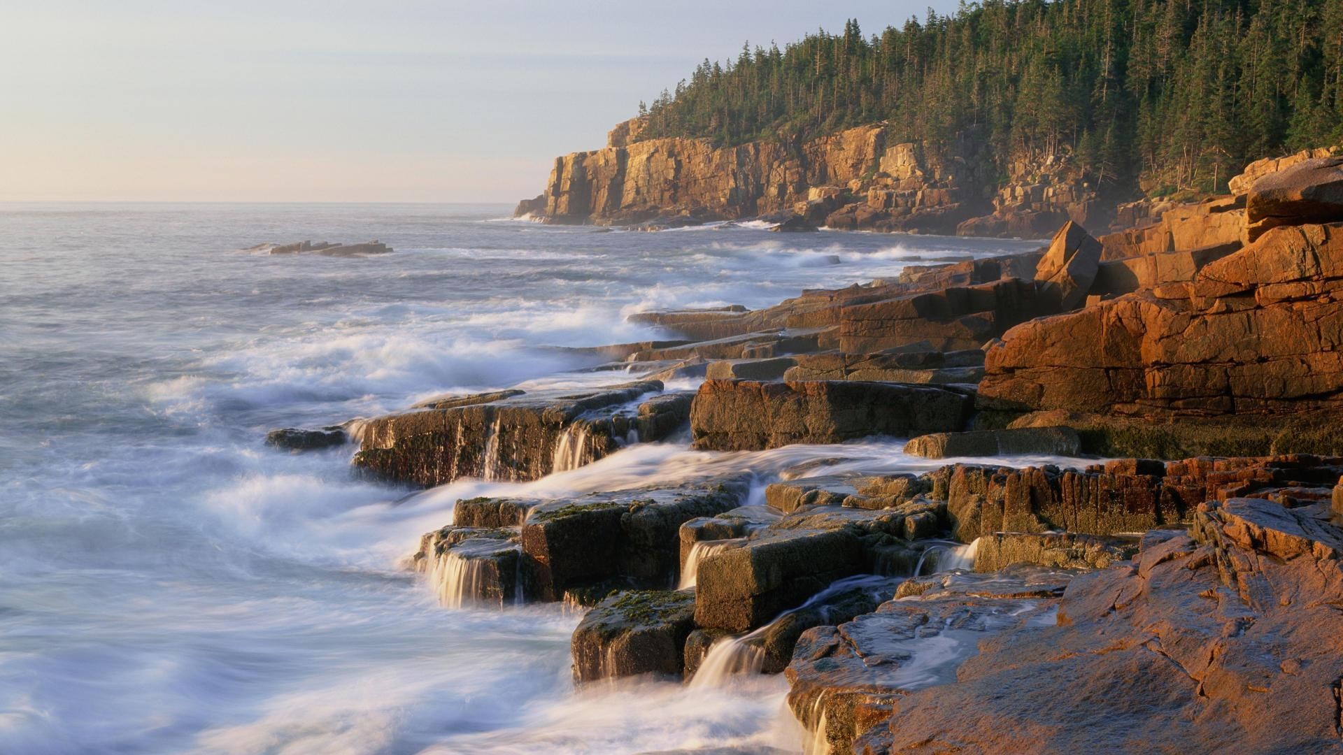otter, nature and landscapes, trees, brown, cliffs, rock, coast, formation, acadia, 1080P, maine, np, steps, phot, cliff, HD Wallpaper