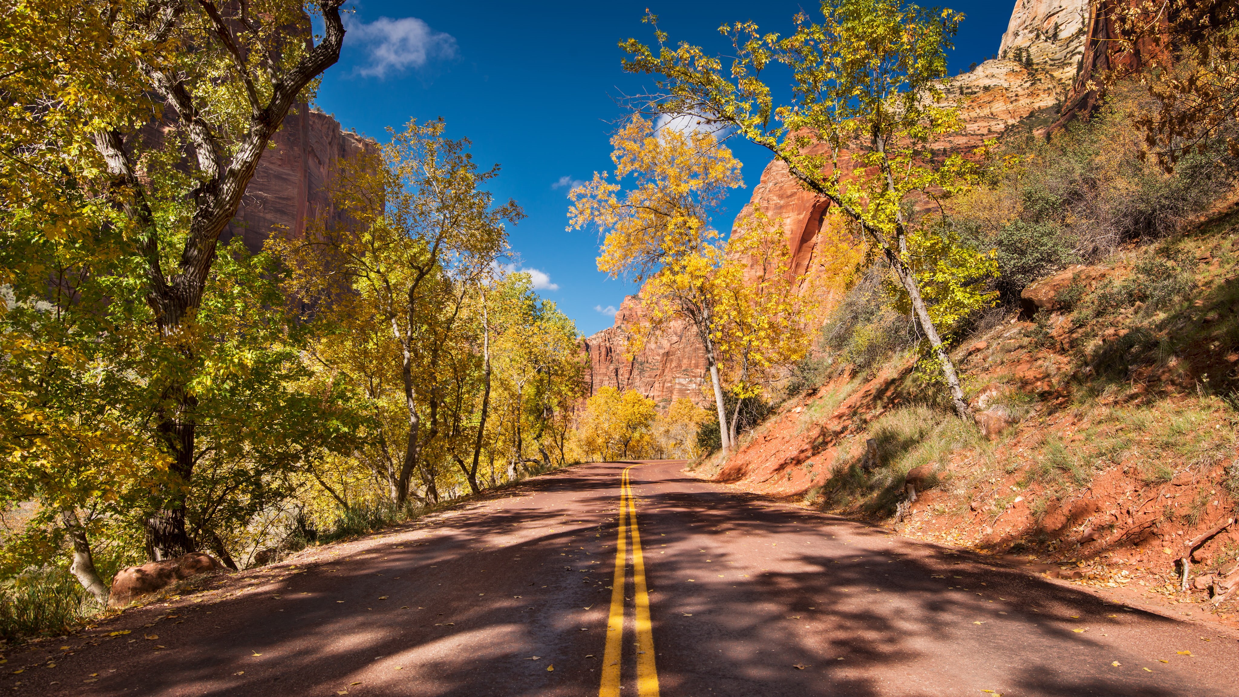diminishing perspective, sunlight, land, plant, zionnationalpark, autumn, roads, 4K, rock, zion, day, change, perspective, outdoors, brown, landscape, HD Wallpaper