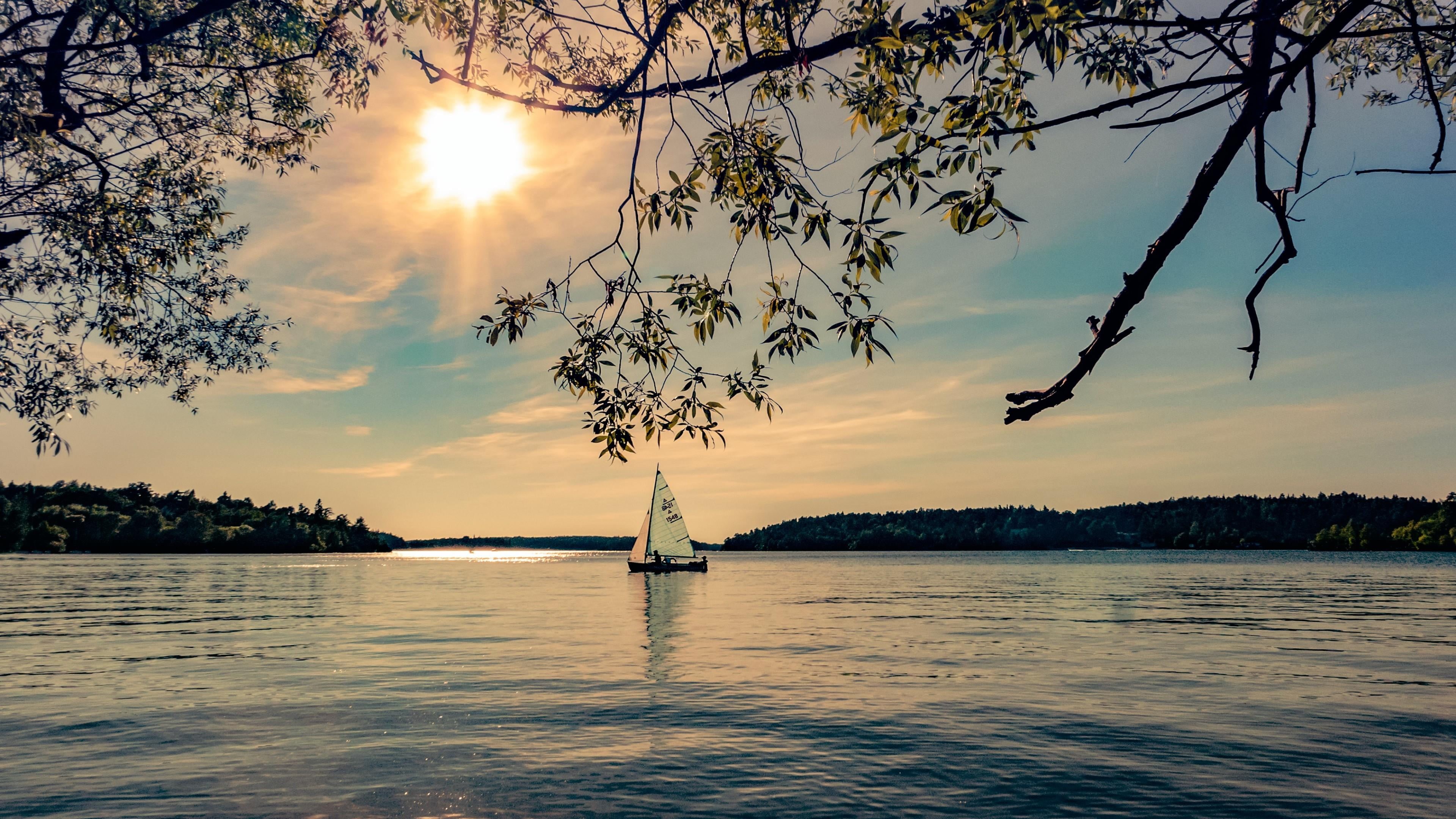 morning, calm, shore, horizon, sky, waterscape, reflection, tree, nature, lake, evening, branch, water, sailboat, 4K, HD Wallpaper