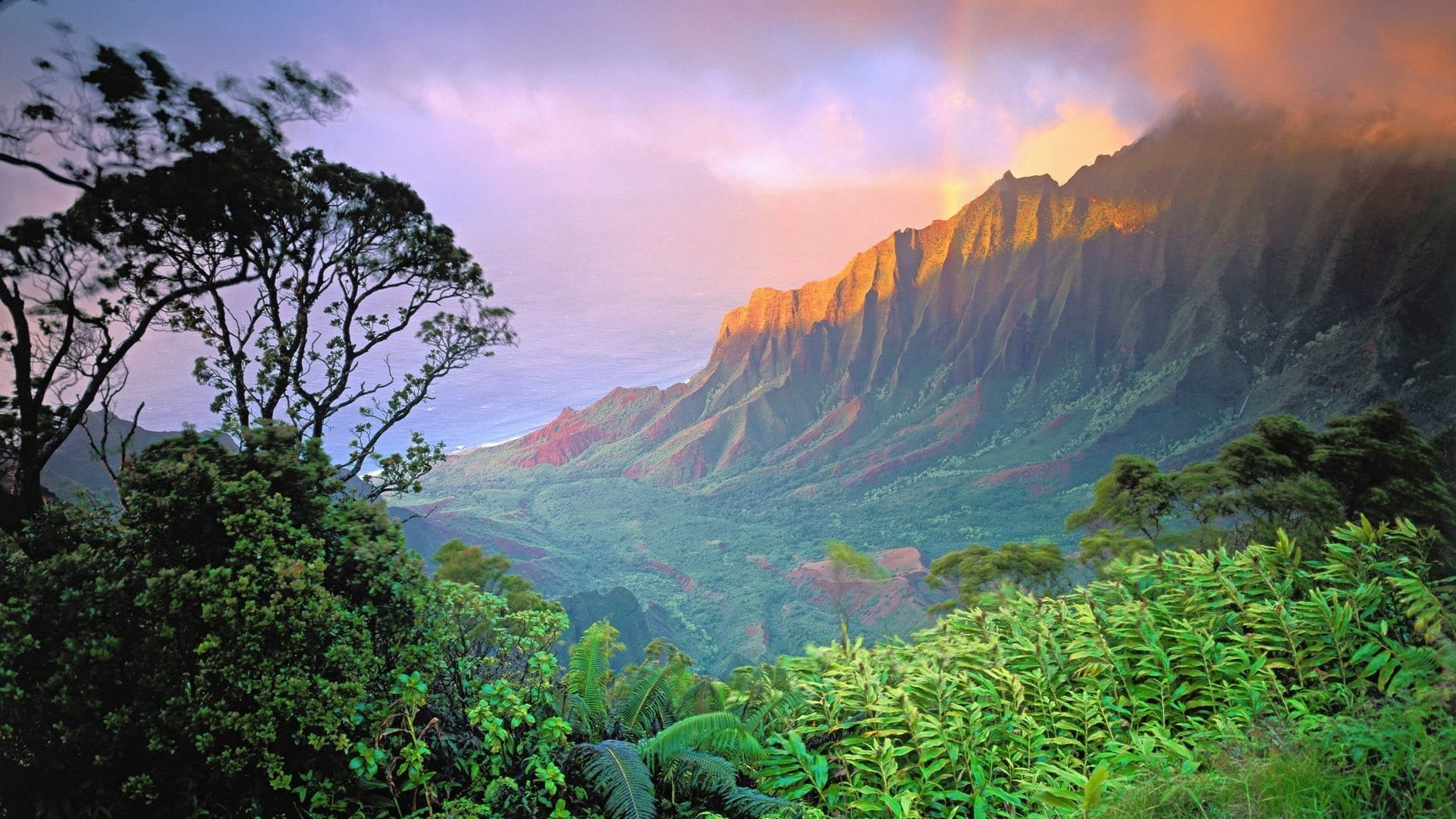 nuuanu valley, wilderness, environment, travel, hawaii, sky, valley, scenics - nature, oahu, united states, outdoors, vegetation, honolulu, view, national park, HD Wallpaper