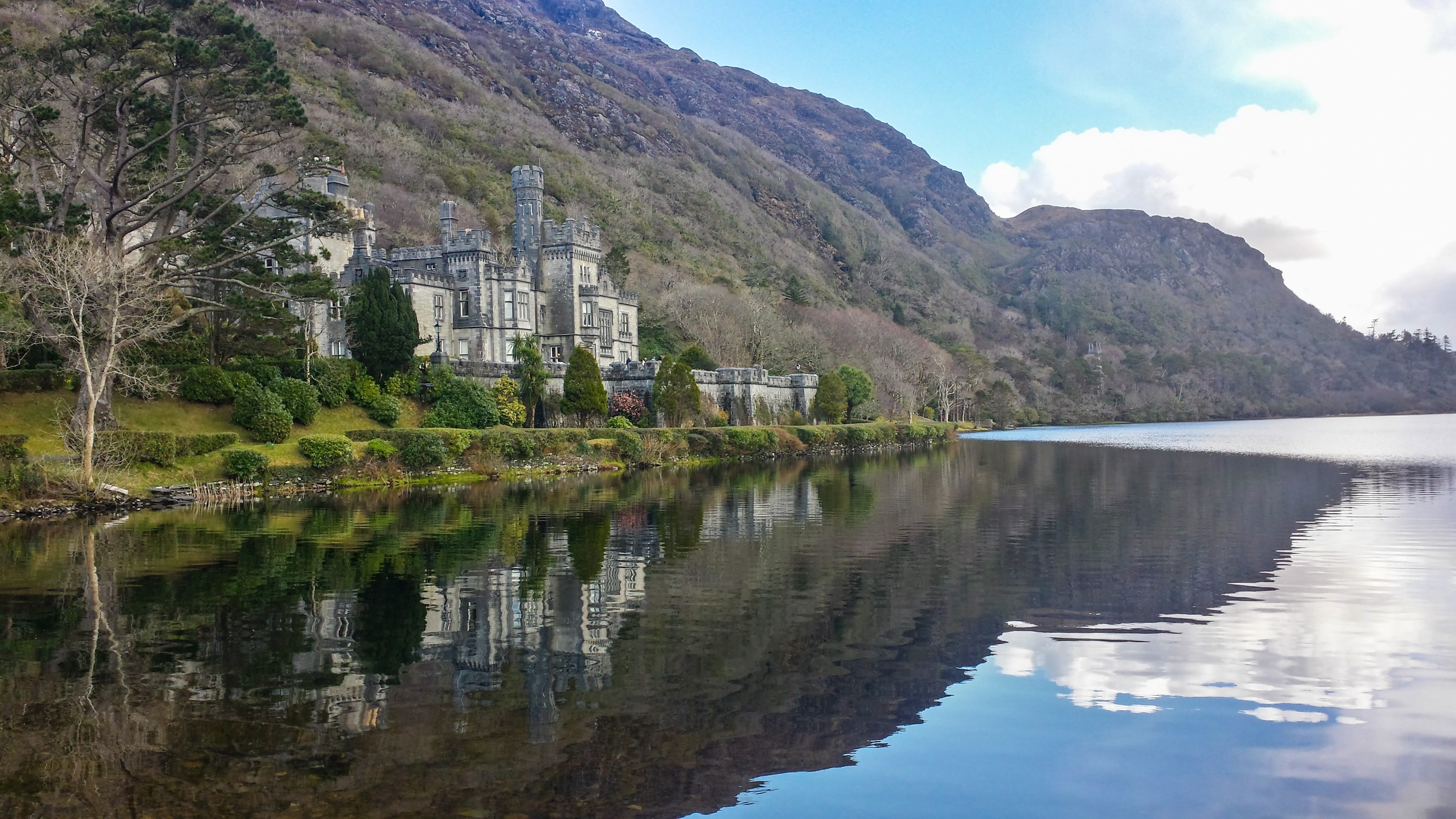 trail, architecture, tranquility, plant, forest, trees, beauty, blue, mato, reflection, tranquil scene, lake, vegetation, wonderful, ride, outdoors, Castle, HD Wallpaper