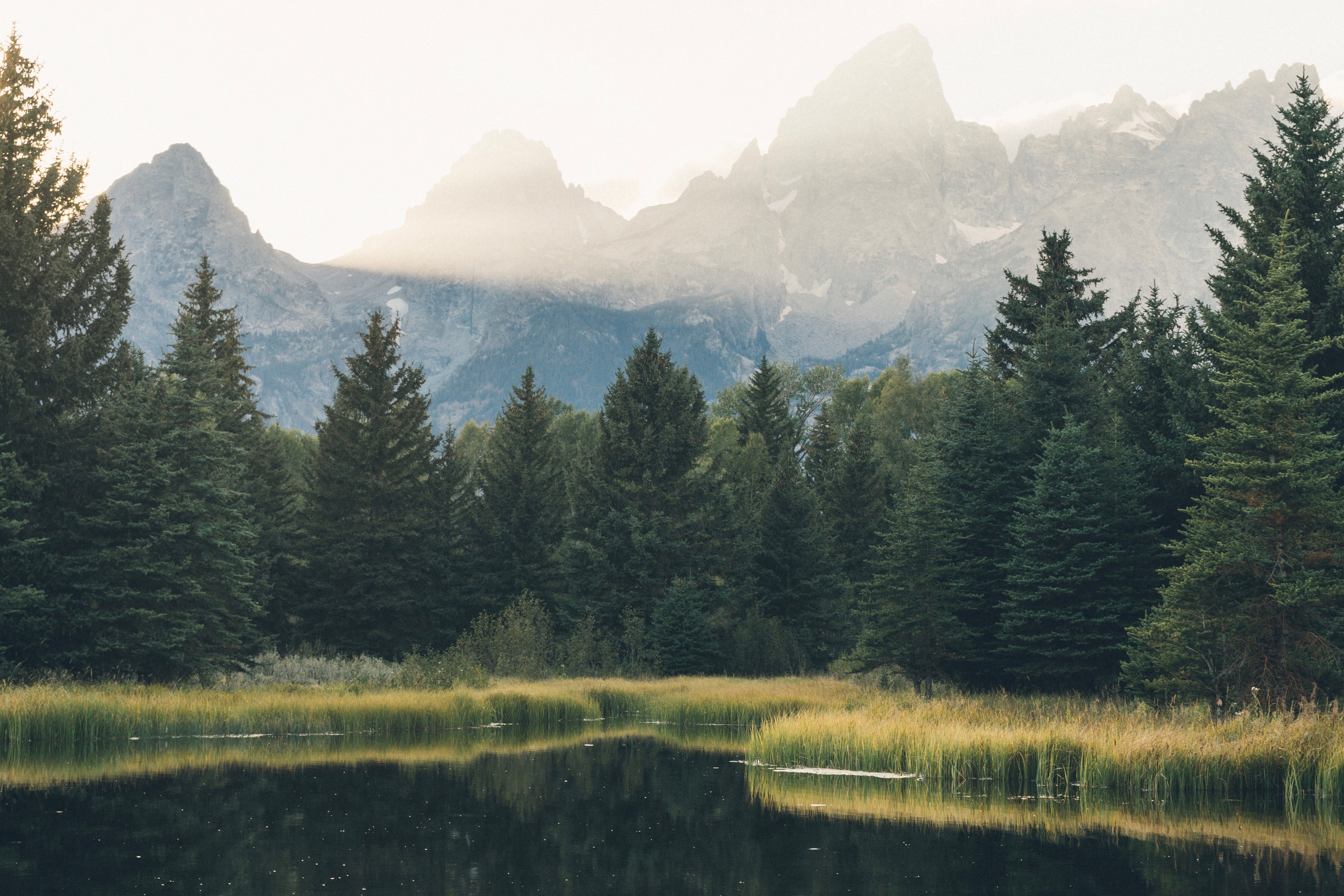 forest, land, day, 4K, national Park, environment, landscapes, extreme Terrain, pine Tree, summer, shot, natural, coniferous tree, lake, sky, mountain Range, HD Wallpaper