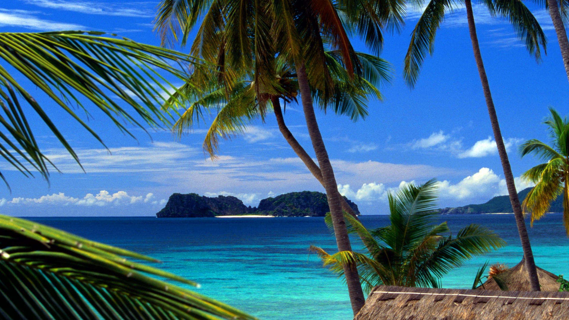 coconut, island, sunny, palm leaf, vacation, caribbean, coast, sand, tahiti, resort, nature, palm tree, landscape, wave, idyllic, true laurel, scenics - nature, HD Wallpaper