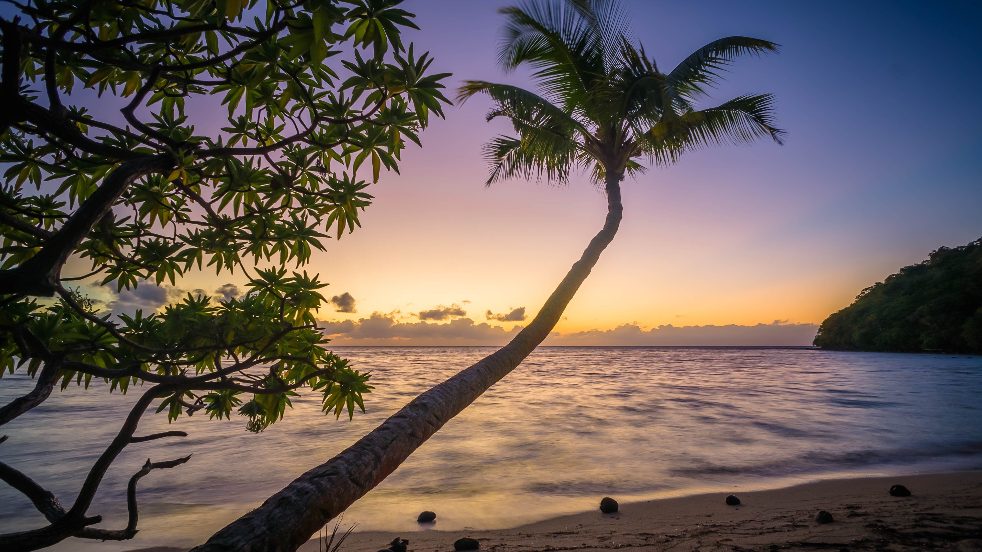 horizon over water, tranquil scene, bay, turquoise, scenics - nature, holiday, plant, non-urban scene, relaxation, caribbean, coconut palm tree, vacation, HD Wallpaper