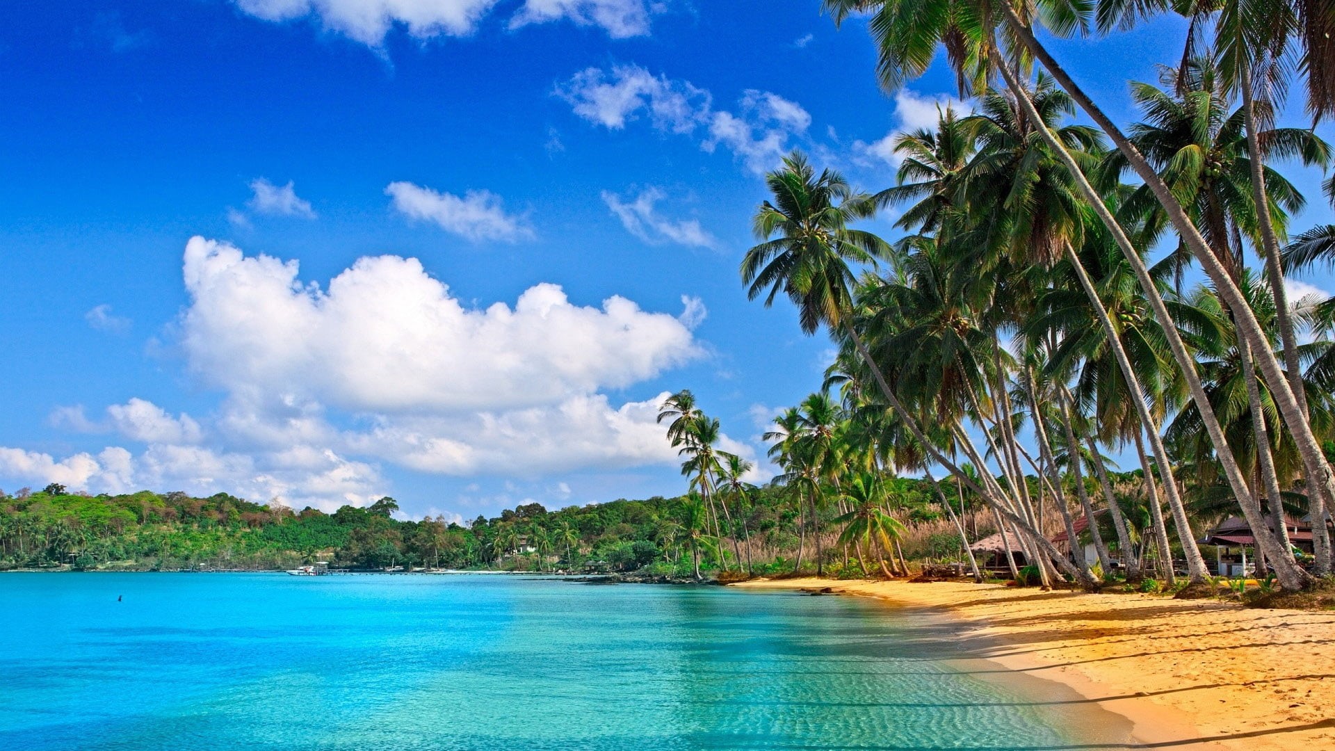 travel, tourism, coconut palm tree, seascape, paradise, cloud, true laurel, 1080P, sea, cloud - sky, resort, palm, travel destinations, tranquility, beauty in nature, HD Wallpaper