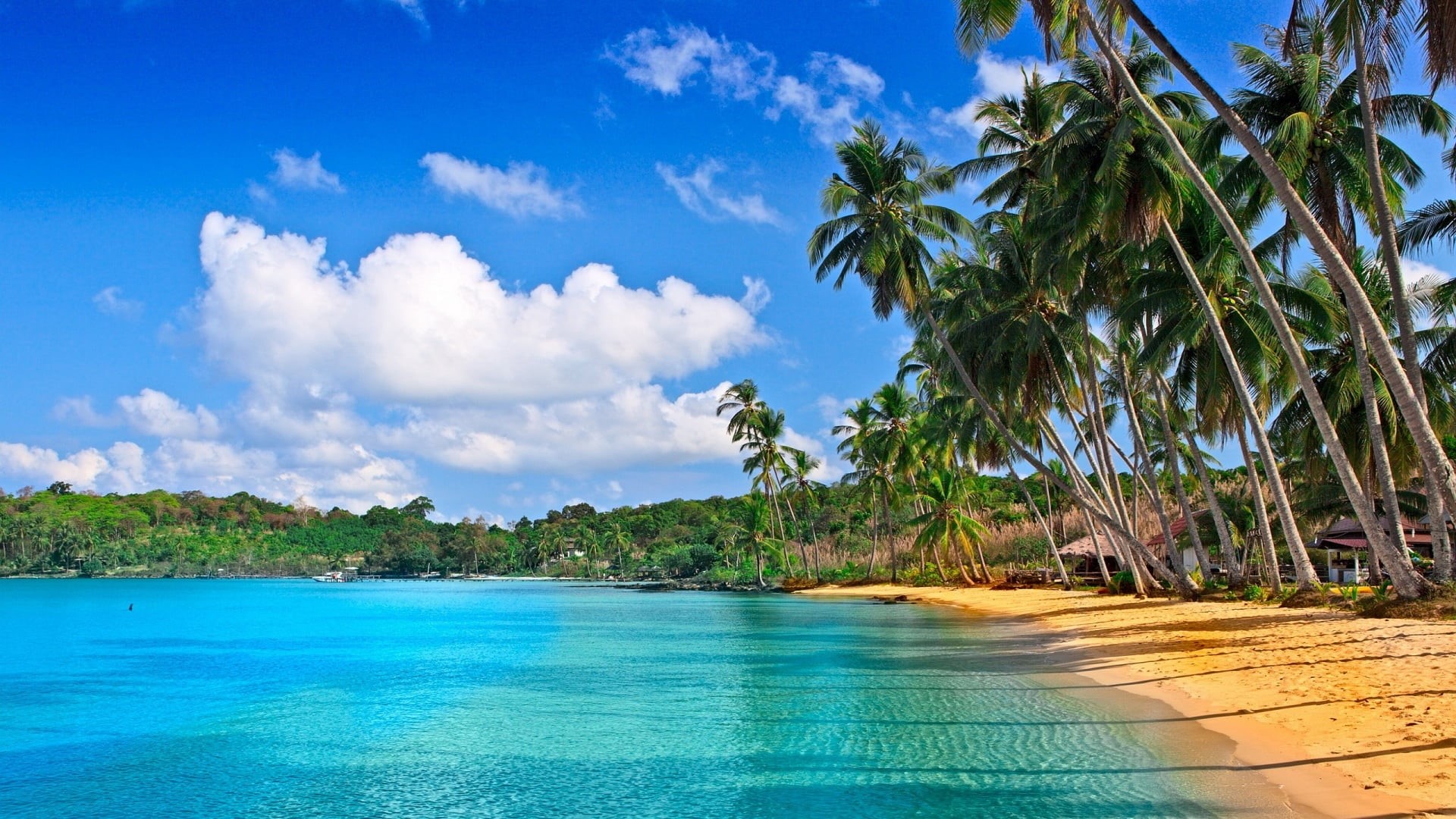 1080P, water, sea, travel, relaxation, clear, outdoors, coconut palm tree, plant, summer, ocean, caribbean, sunny, shore, tourism, sunlight, landscape, HD Wallpaper
