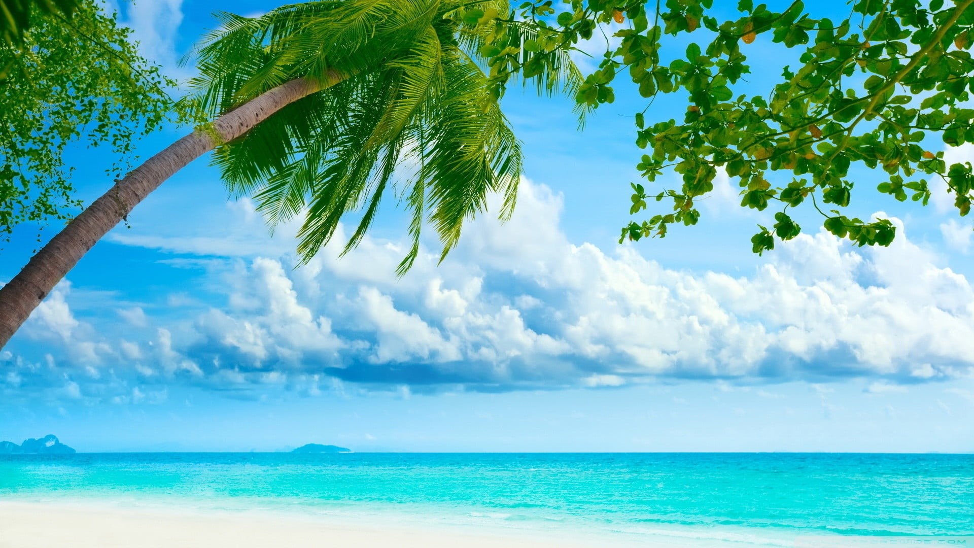 landscape, sunlight, coconut palm tree, relaxation, day, sky, island, tropical, scenic, turquoise, nature, no people, ocean, horizon, tourism, palm, 1080P, HD Wallpaper