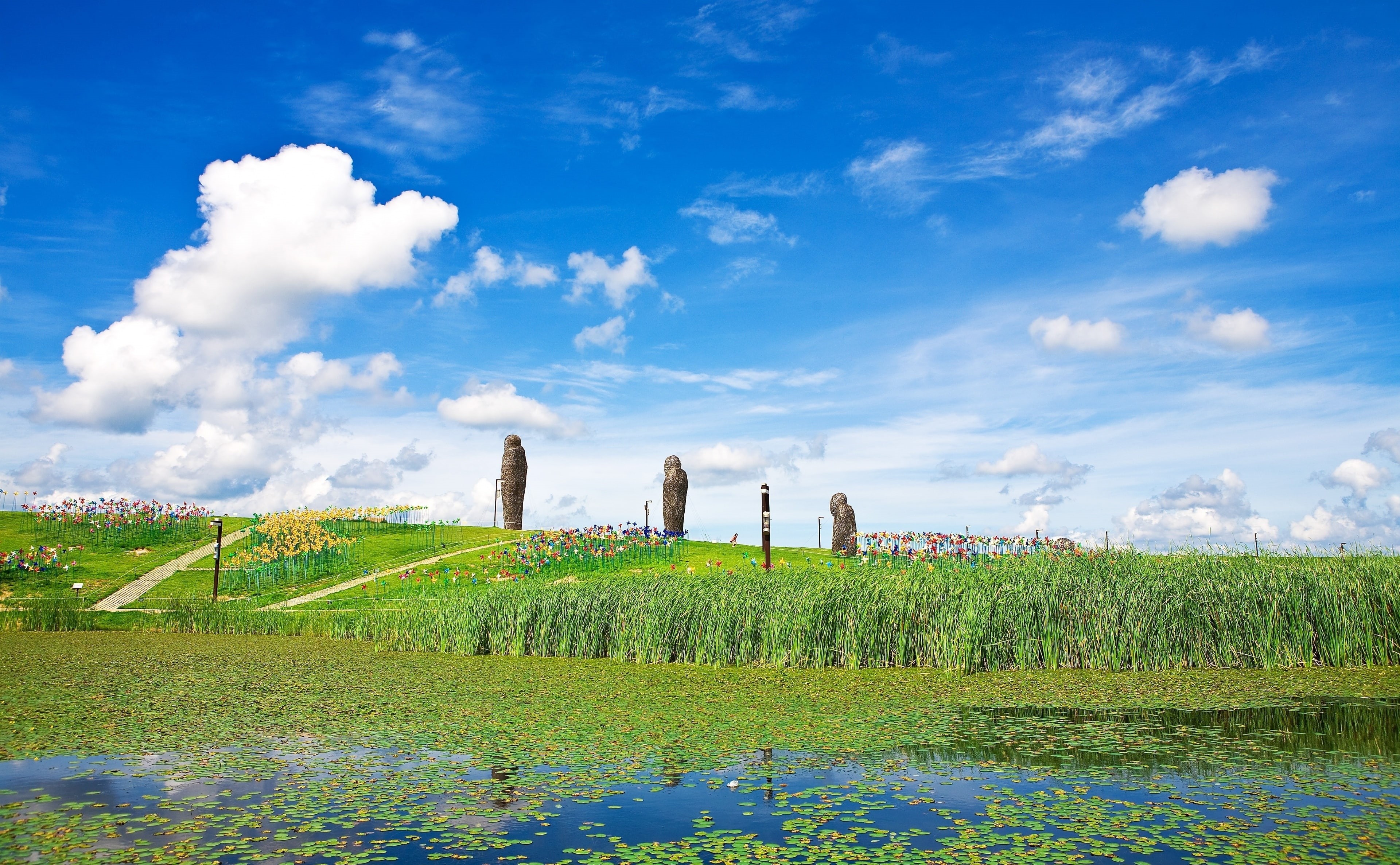 Summer, environment, no people, tourism, 4K, Scenery, Park, Pool, Lake, touristdestination, Field, green color, Korea, plantation, farm, scenics - nature, HD Wallpaper