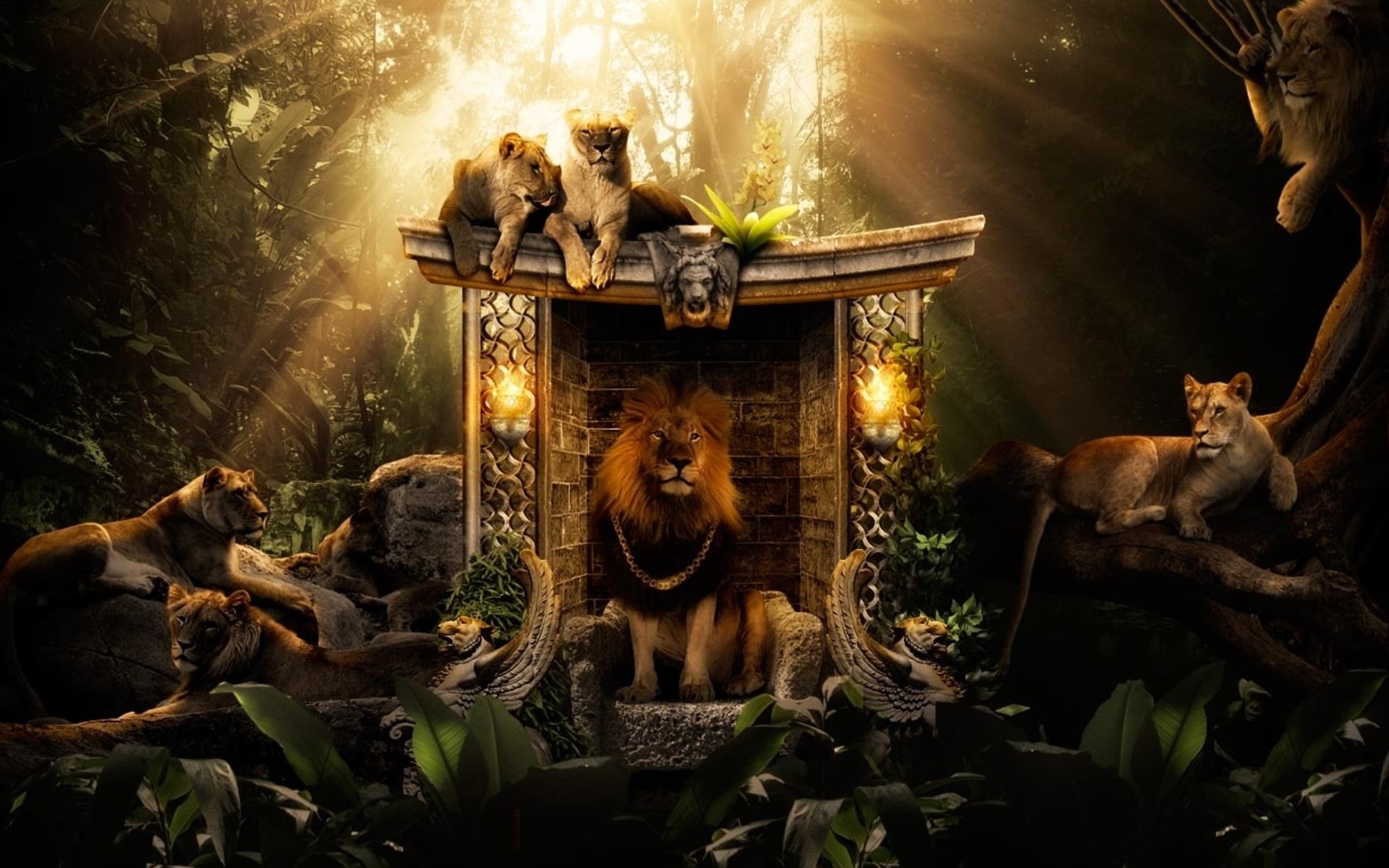hd, jungle, 1080P, creative, creative and graphics, lions, graphics, HD Wallpaper