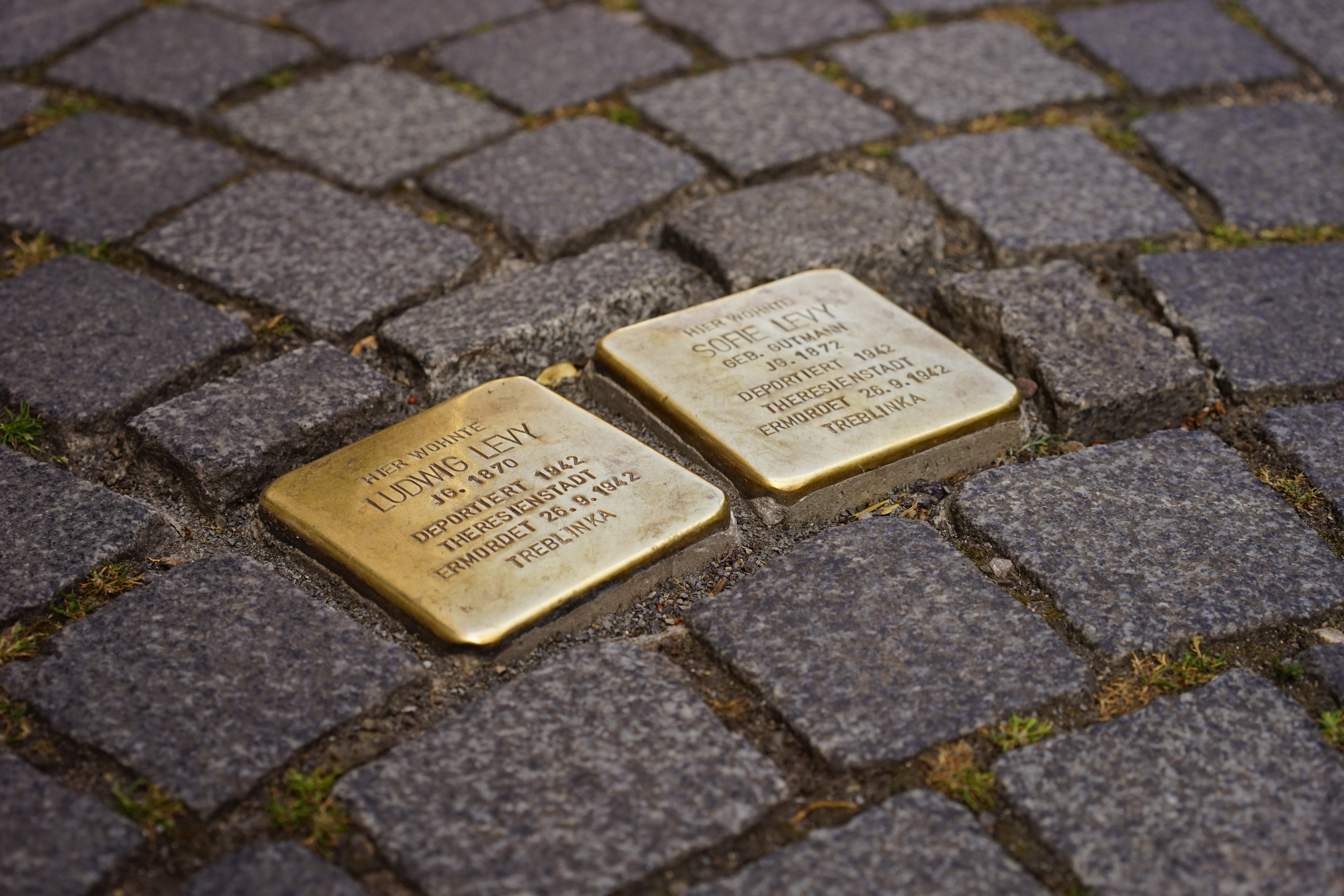 close-up, paving stone, outdoors, brass plates, cobblestone, selective focus, ground, communication, ns time, art, paving stones, brass plaque, high angle view, HD Wallpaper