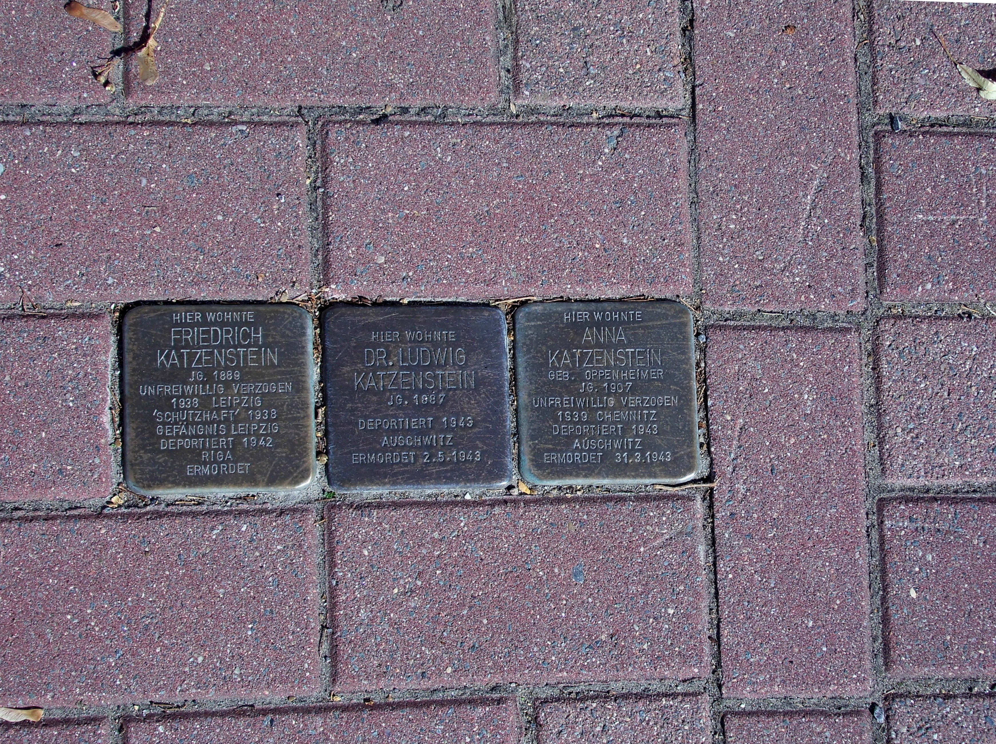 national socialism, stumbling blocks, memorial, stone, full frame, outdoors, western script, day, victims, pattern, jews, footpath, name, directly above, HD Wallpaper
