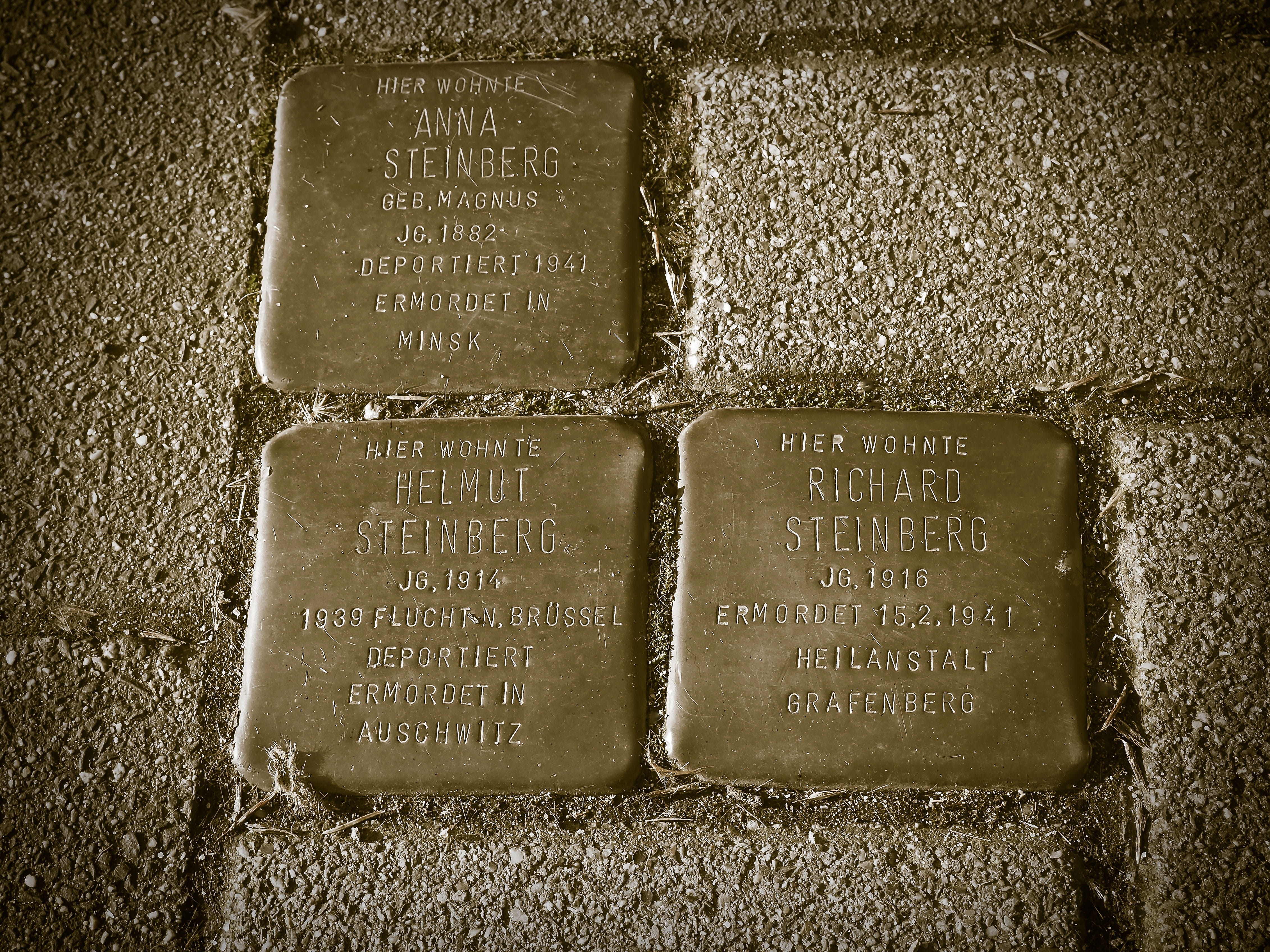 Memorial, paving stones, stones, victims, history, high angle view, 4K, the past, name, wall - building feature, book, directly above, solid, text, Holocaust, HD Wallpaper
