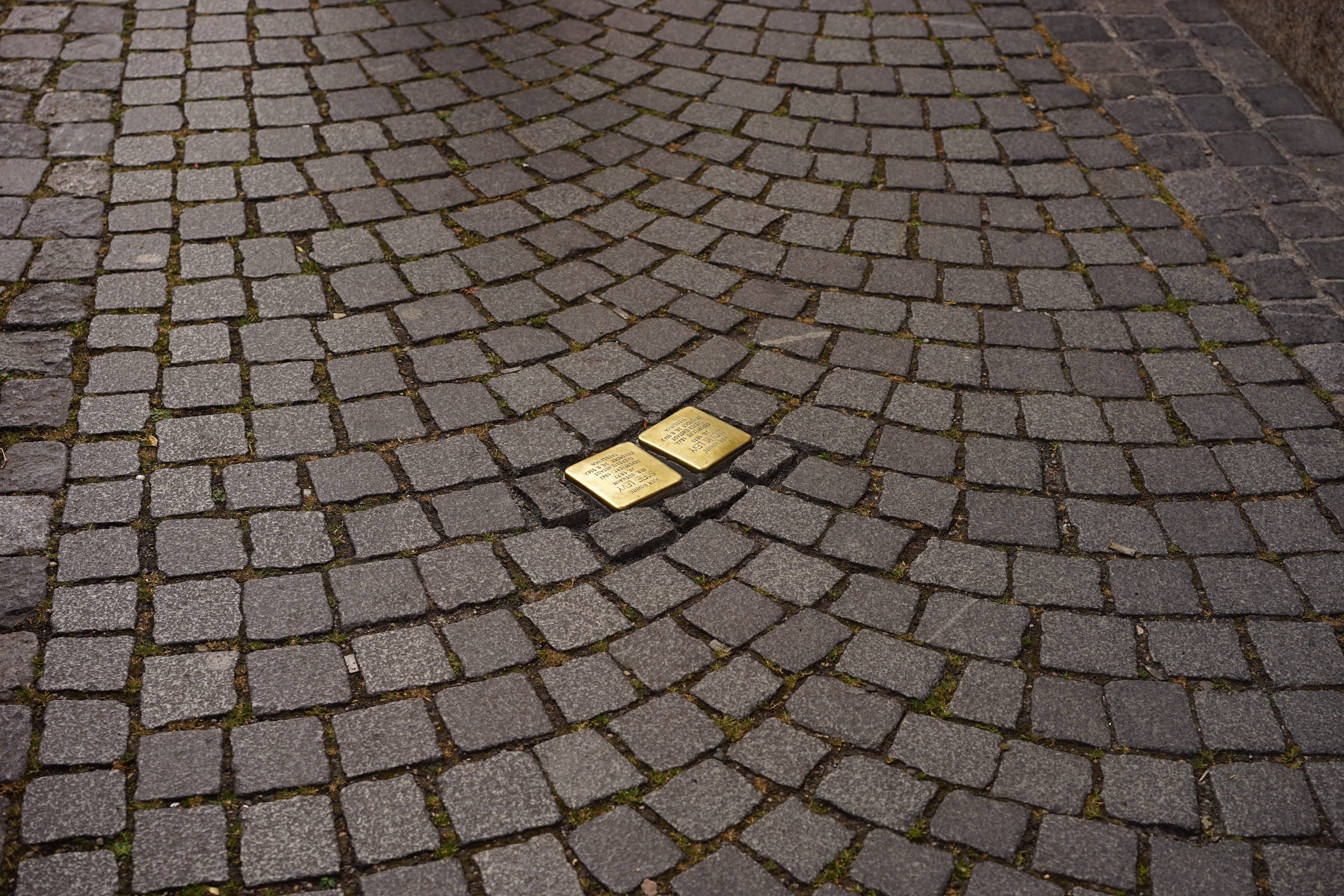 day, ulm, art, gunter demnig, brass plaque, no people, street, ns time, high angle view, yellow, road, 5K, design, outdoors, brass plates, memorial tablets, HD Wallpaper