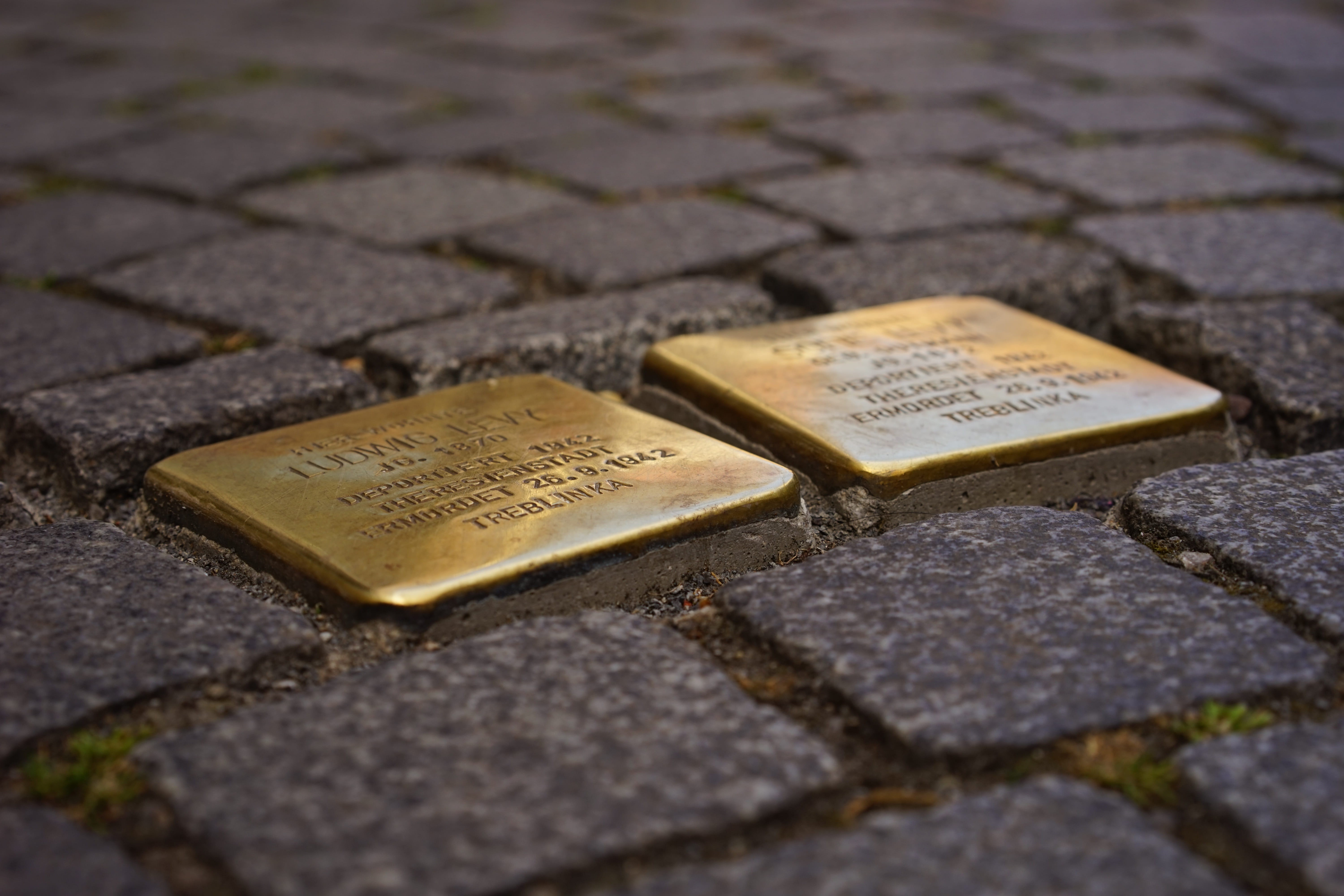 national socialism, selective focus, paving stones, street, city, text, day, road, cobblestone, communication, ns time, art, gold colored, ingot, outdoors, HD Wallpaper