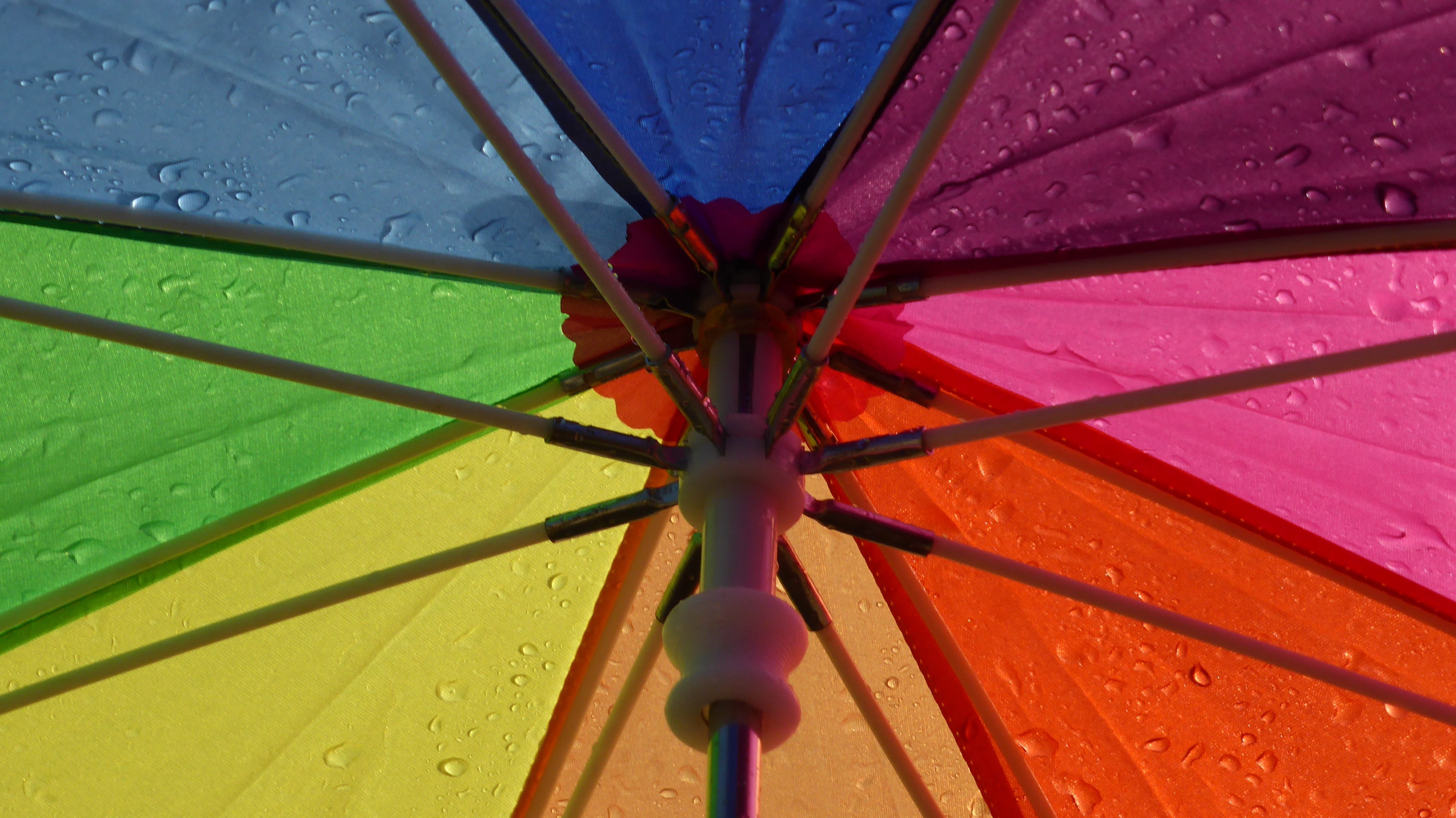 multicolored, spoke, umbrella, nature, wet, rainy season, dew, colorful, safety, no people, raindrop, full frame, outdoors, drop, close-up, rain, protection, HD Wallpaper