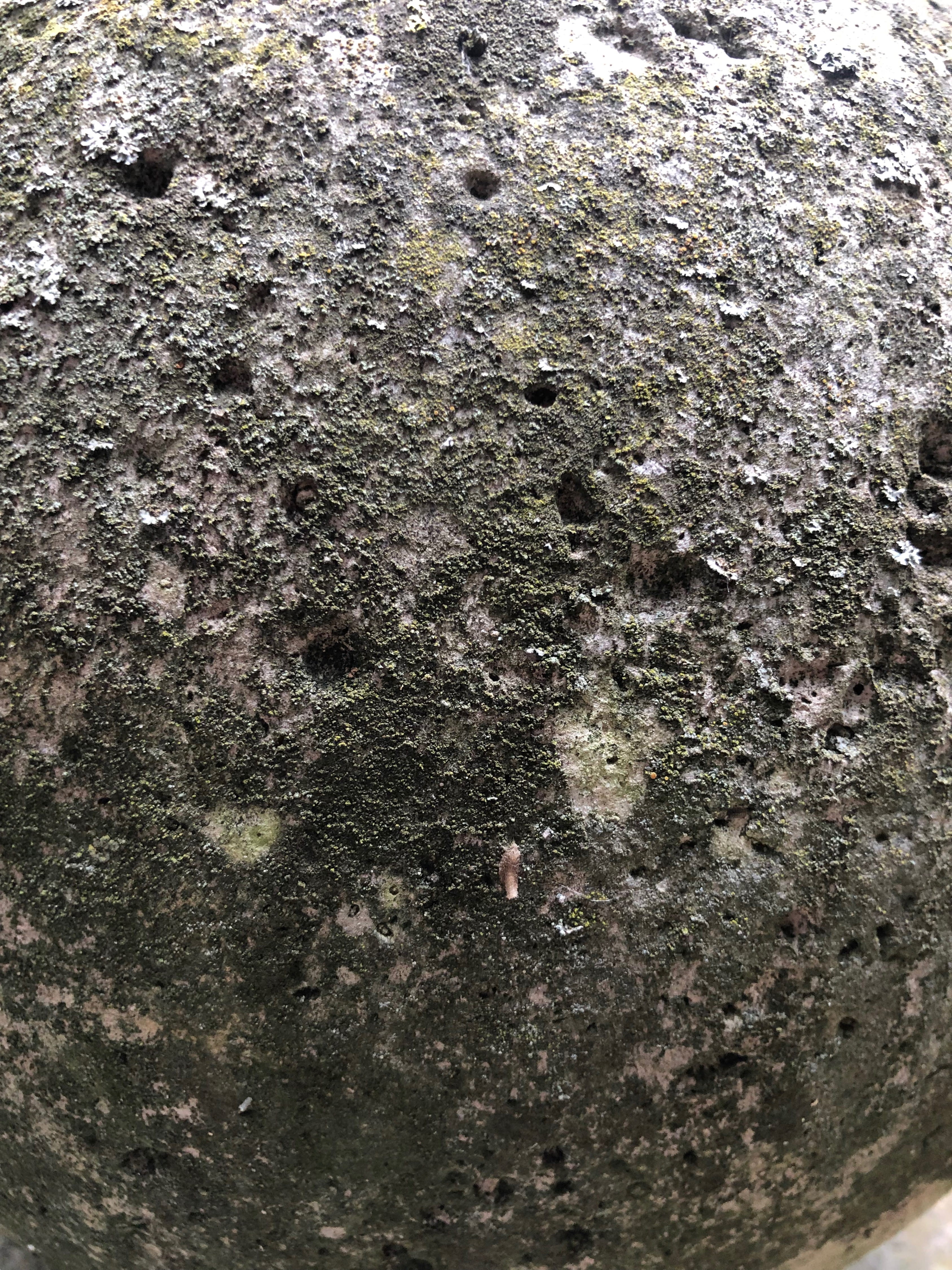 no people, full frame, trunk, outdoors, soil, perugia, globe, umbria, tree trunk, old, rock, moss, textured, san martino in campo, ground, tar, italy, villa donini, Phone HD Wallpaper