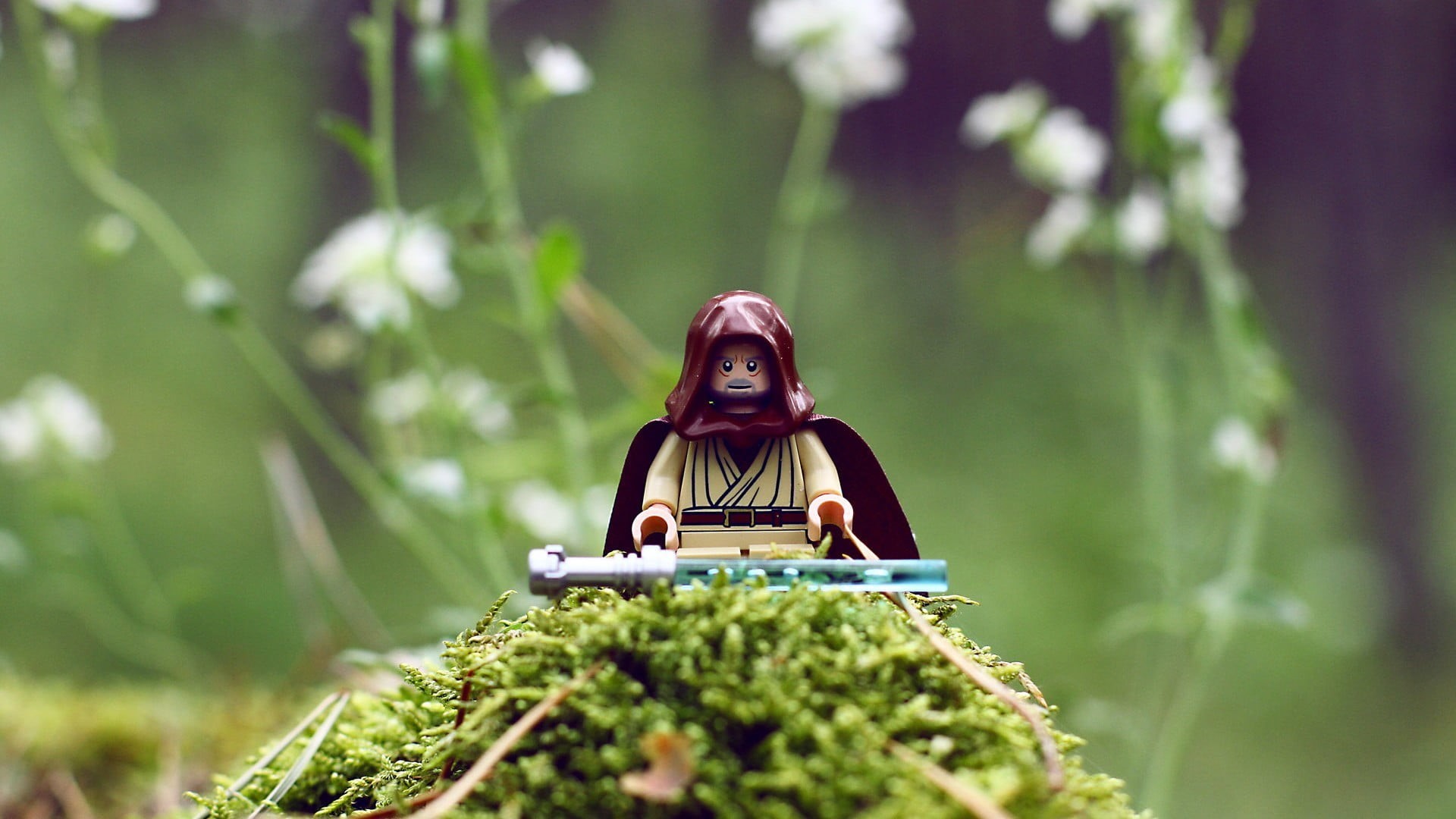 tree, star, LEGO, selective focus, small, figs, plant, day, summer, one person, beauty in nature, front view, adult, young adult, females, people, nature, HD Wallpaper