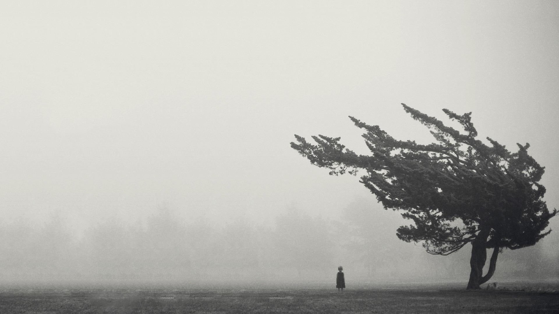 tree, water, outdoors, beauty in nature, mist, unrecognizable person, nature, 1080P, tranquility, day, one person, fog, near, children, silhouette, sky, HD Wallpaper