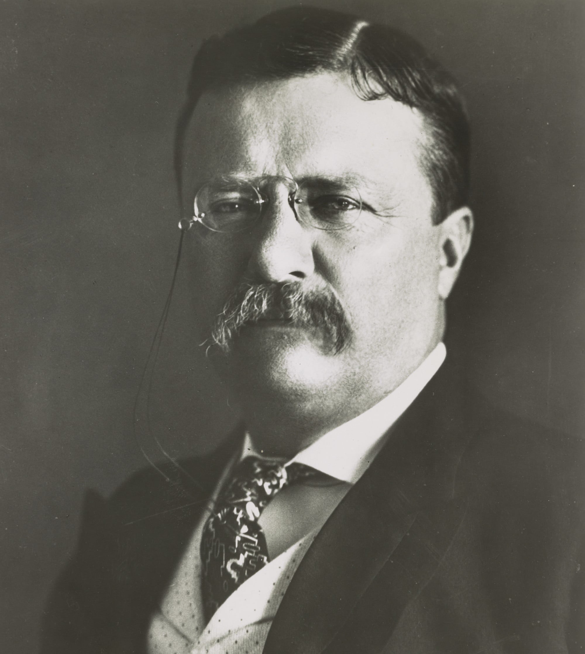 president, mid adult, person, one person, man, teddy roosevelt, portrait, teddy, grayscale, contemplation, front view, mid adult men, mature men, beard, Phone HD Wallpaper