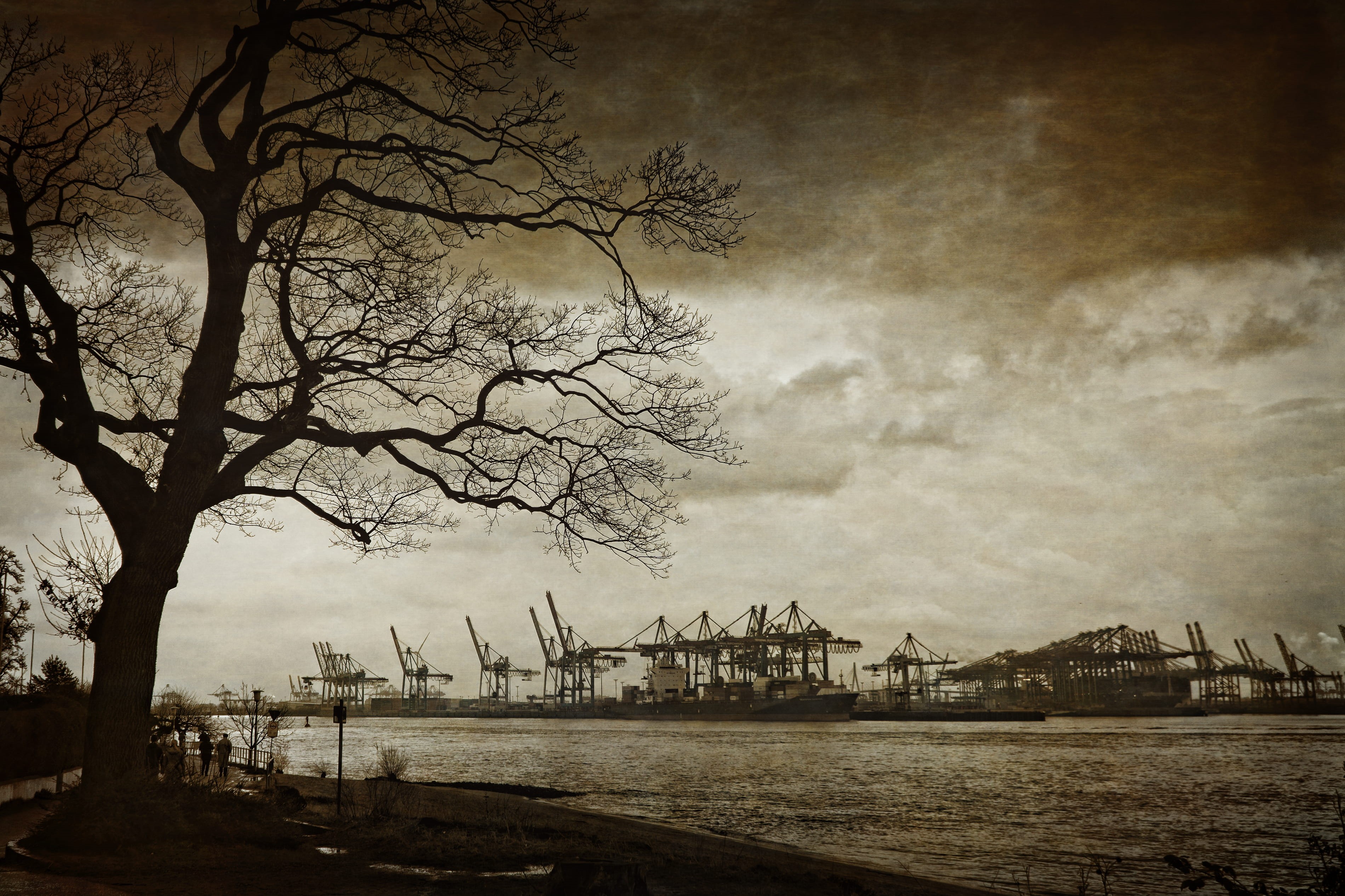 white, sepia, built structure, no people, black-and-white, harbour, river, black, 2K, commercial dock, construction, sea, plant, textured effect, city, HD Wallpaper