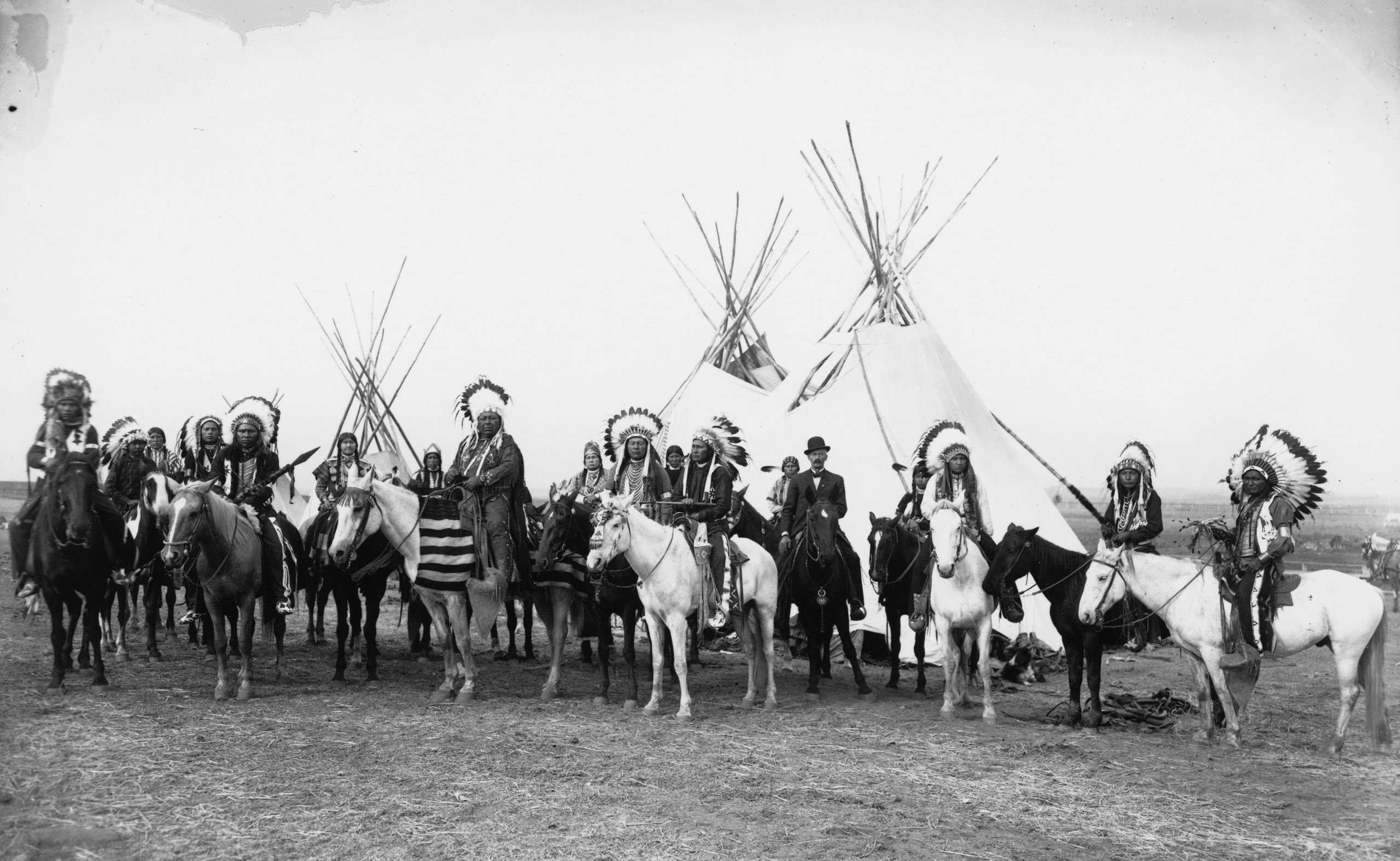mammal, tribe, land, men, women, group of animals, American, nature, crowd, day, animal wildlife, Vintage, livestock, domestic, field, pets, herbivorous, HD Wallpaper