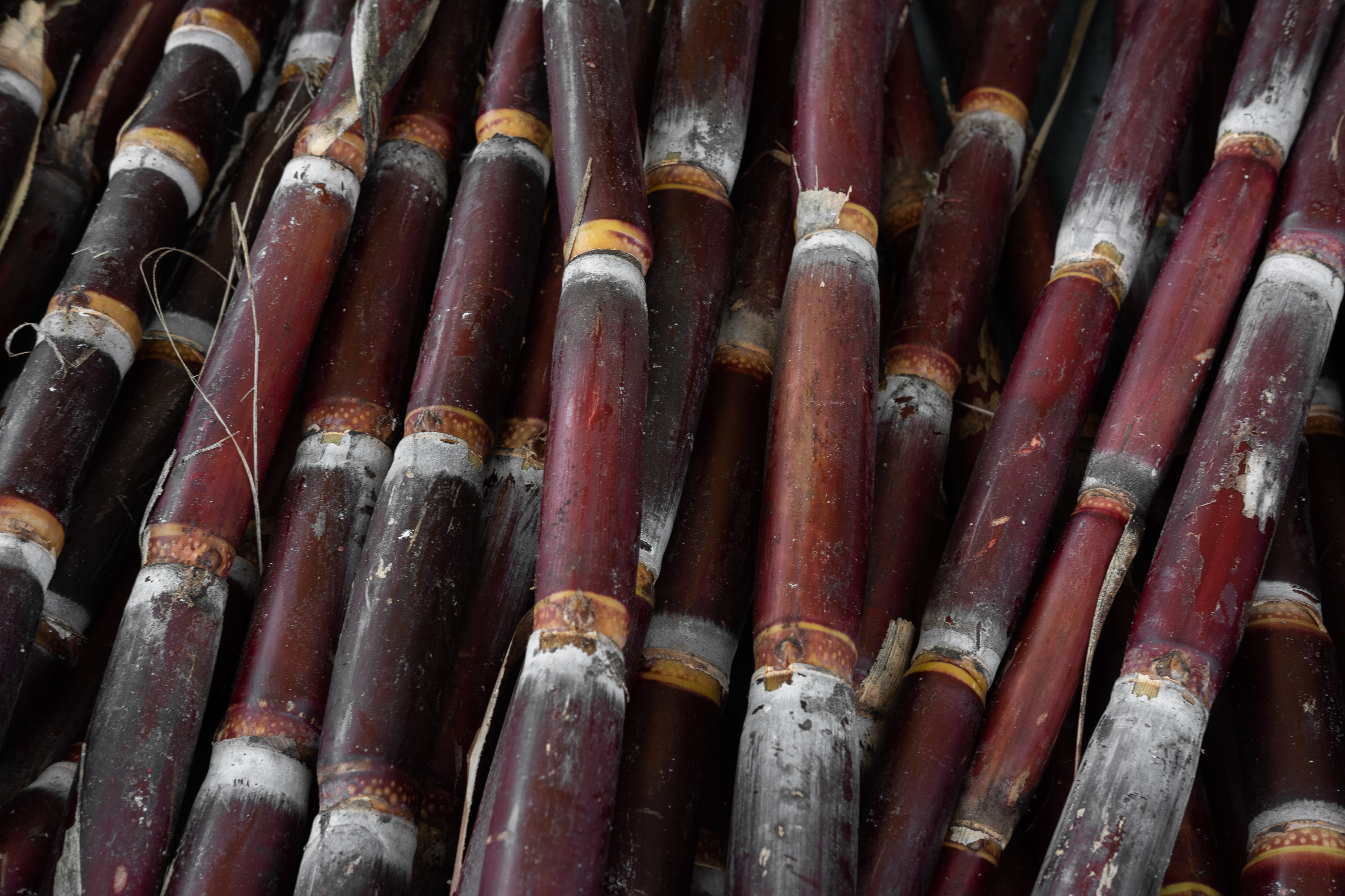 stack, day, industry, plant, brown, sugarcane, fremont farmers market, sugar, rust, bamboo - material, usa, arrow, bamboo, bamboo - plant, outdoors, tribe, HD Wallpaper