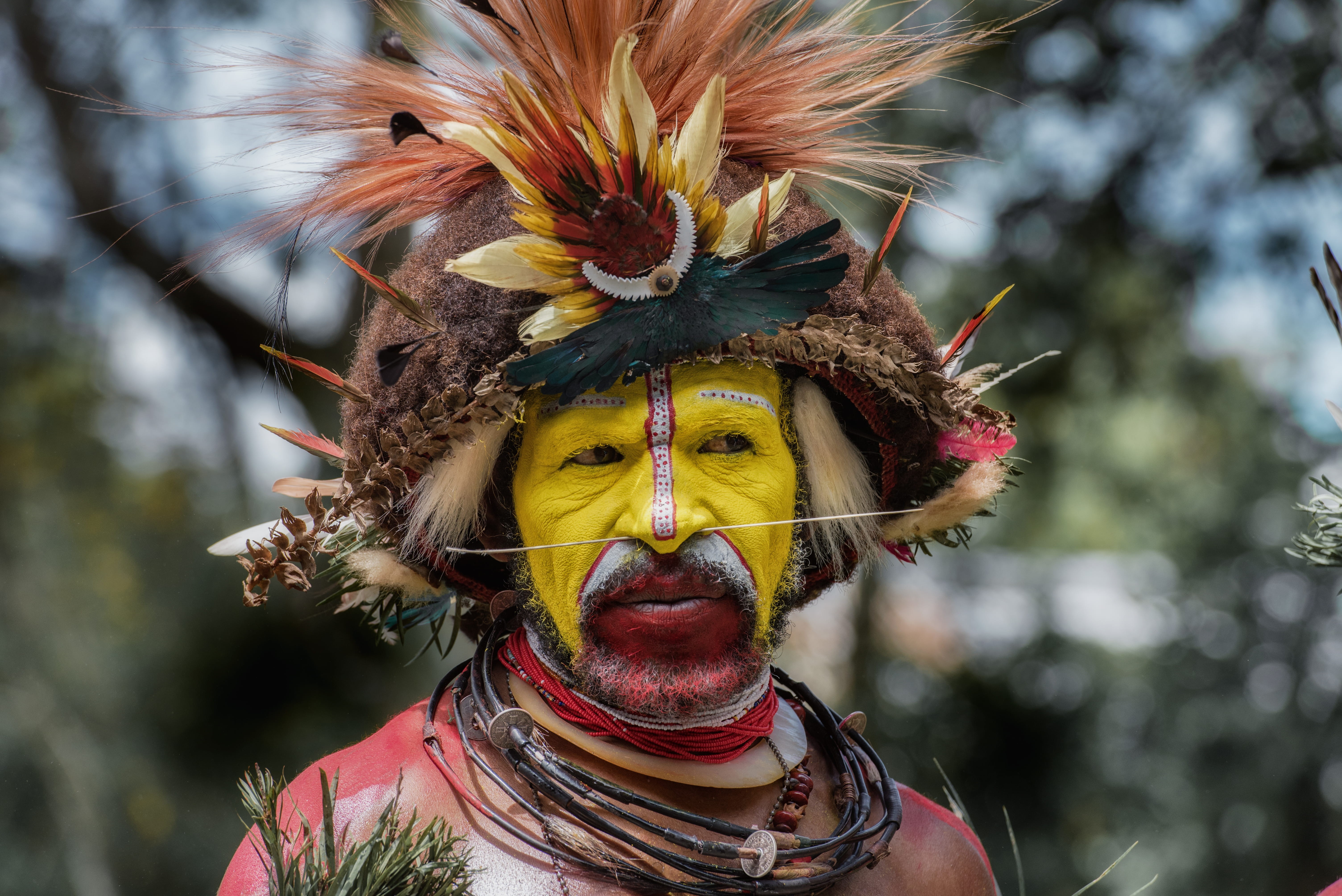 focus, papua new guinea, close-up, female, brown, adult, portrait, performer, focus on foreground, crowd, front view, face, day, head, looking at camera, HD Wallpaper