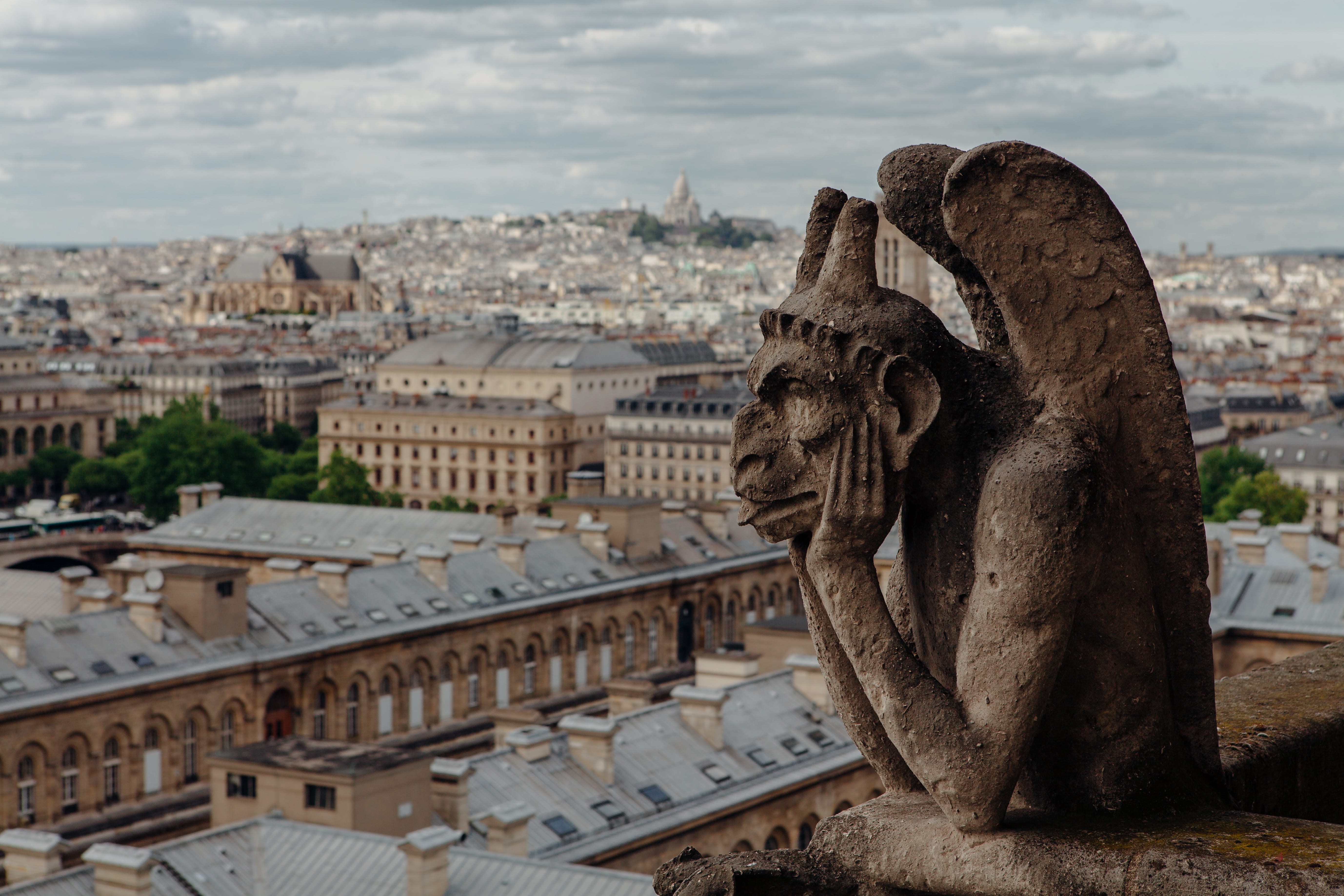 paris, ornament, lion, tile roof, animal, built structure, wildlife, architecture, art, travel destinations, travel, notre dame, elephant, cityscape, 5K, HD Wallpaper