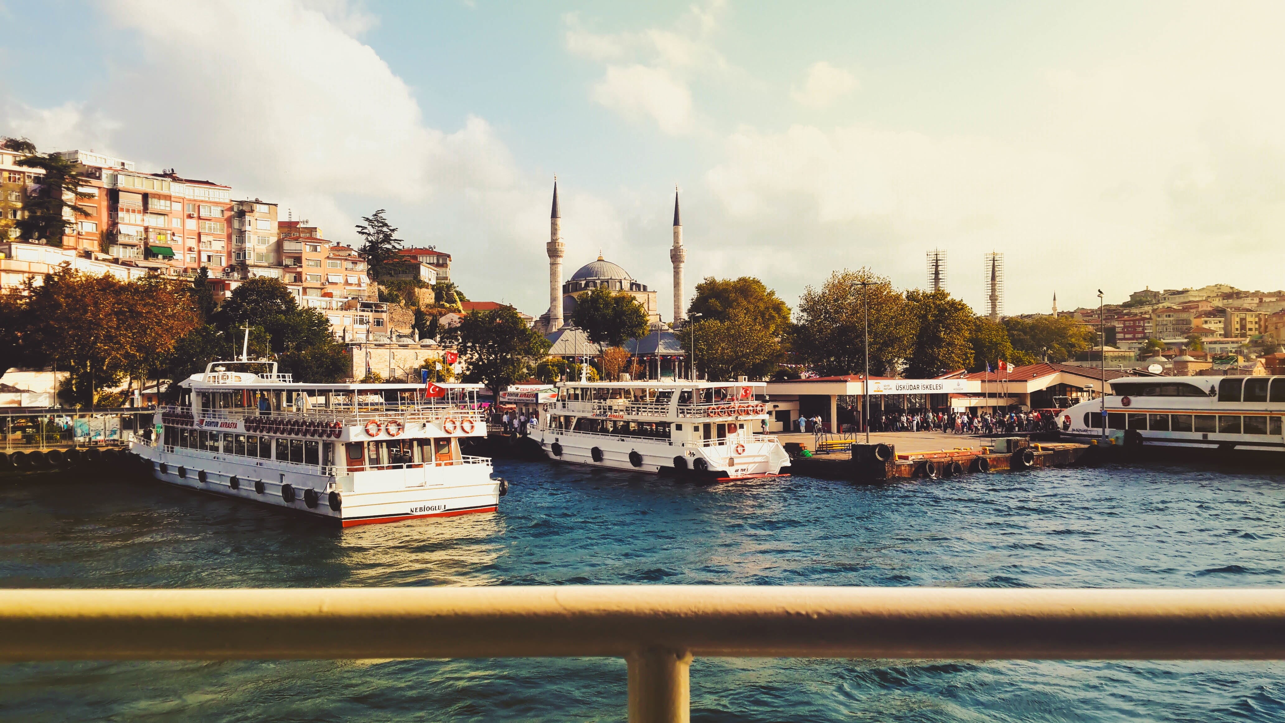 tree, turkish Culture, built structure, ferries, turkey - Middle East, minaret, nature, travel destinations, ottoman Empire, famous Place, building exterior, HD Wallpaper