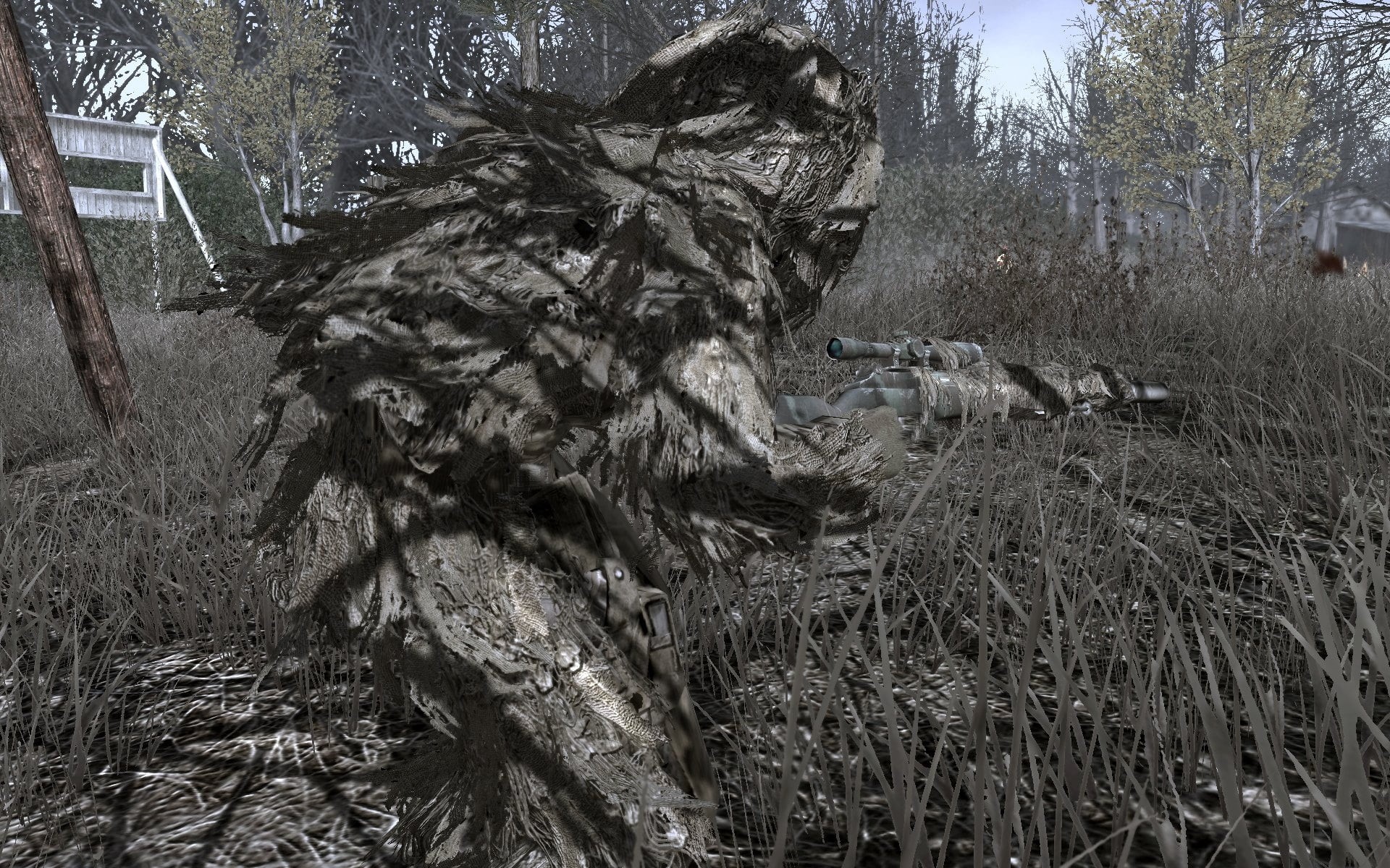 sniper, pets, animal themes, mammal, field, land, 1080P, outdoors, nature, day, built structure, grass, trees, domestic, death, call of duty 4 modern warfare, HD Wallpaper