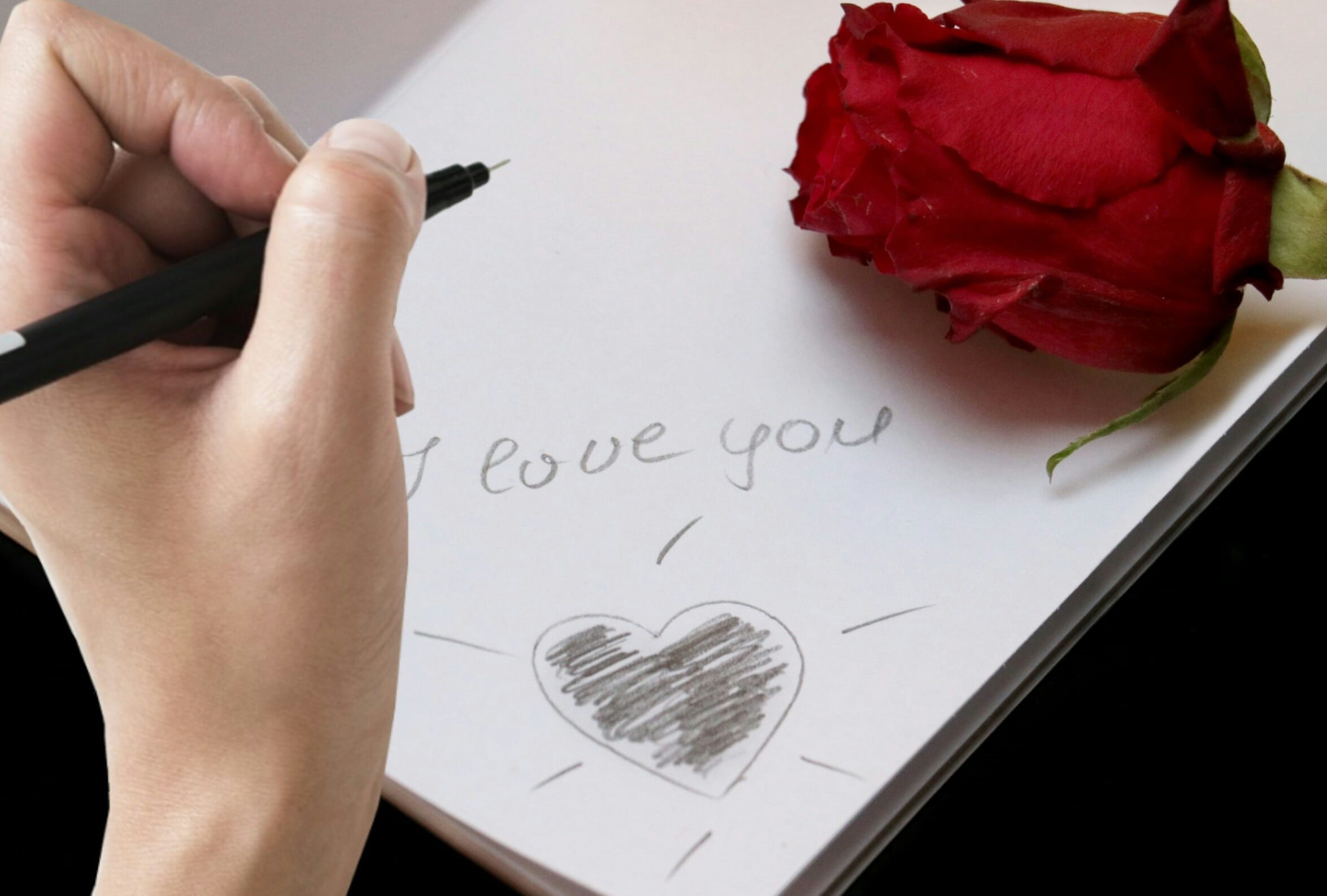 valentines day, 1080P, hand, mood, indoors, literature, fountain pen, flowering plant, page, emotion, plant, i love you, beauty in nature, pen, finger, HD Wallpaper