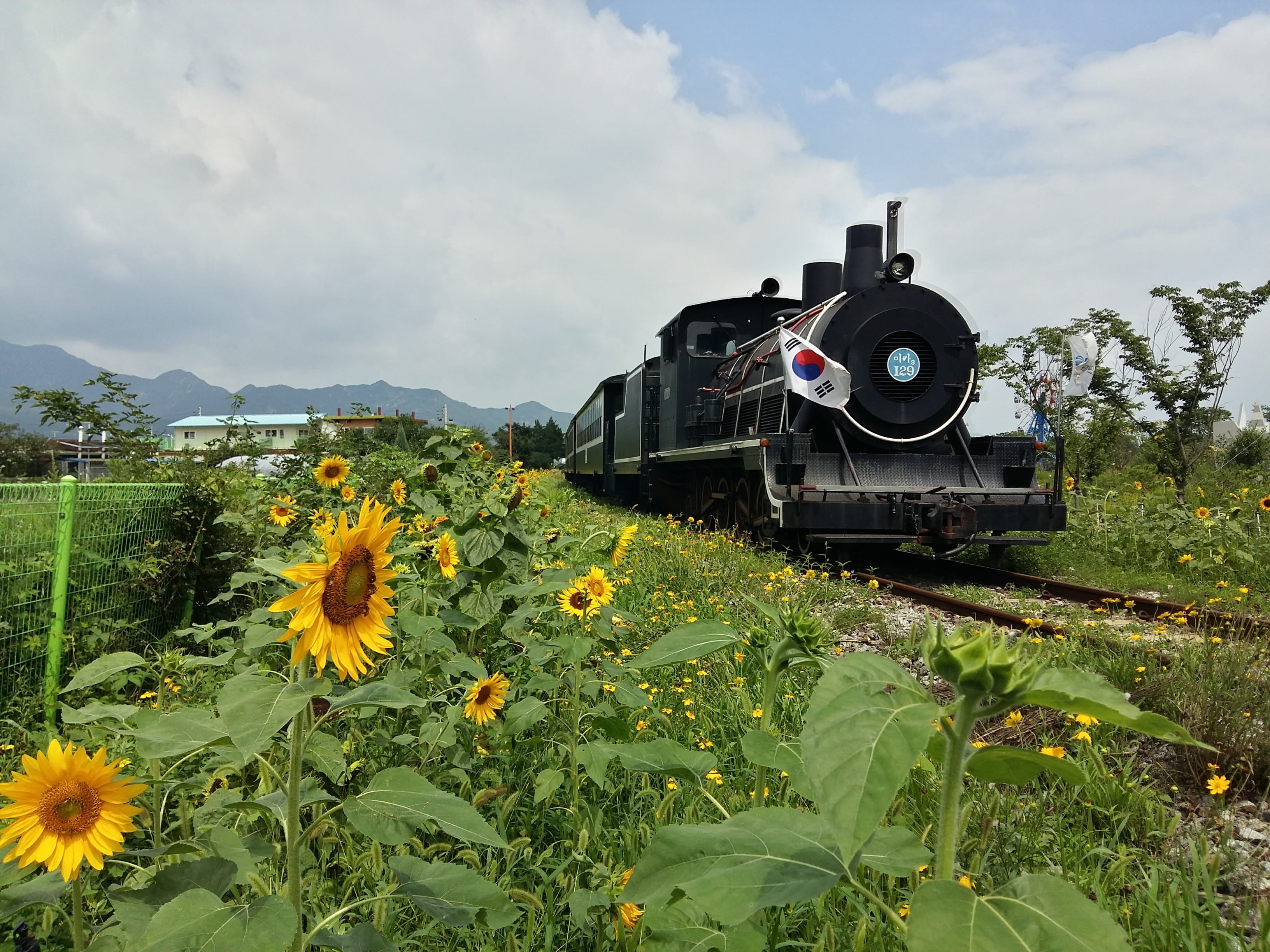 growth, steam, field, transportation, flowering plant, plant, freshness, korea, rural scene, railway, 2K, train, locomotive, no people, republic, koran, HD Wallpaper