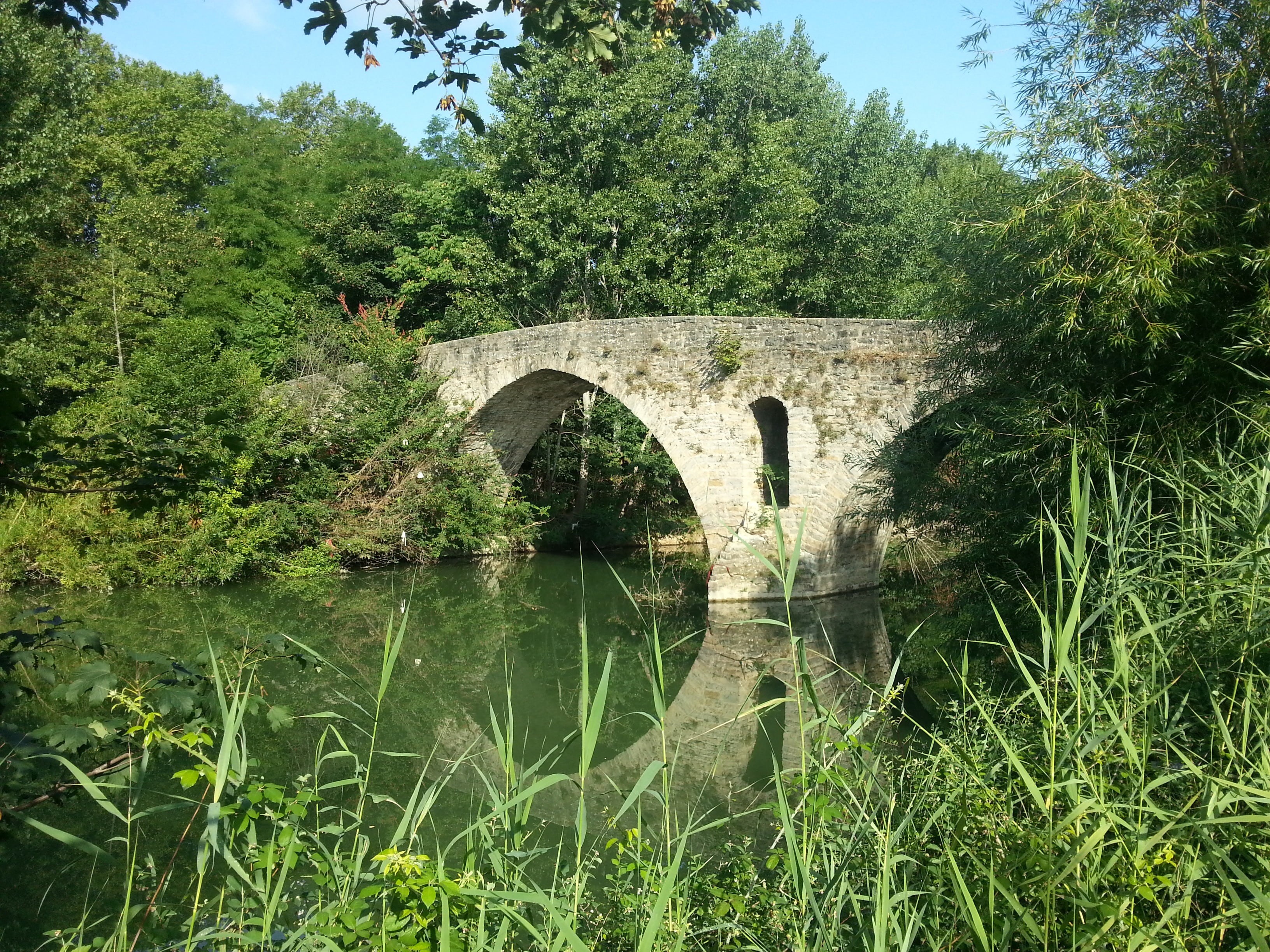bridge - man made structure, growth, connection, camino de santiago, day, 2K, arch, water, reflection, arch bridge, forest, nature, built structure, no people, HD Wallpaper