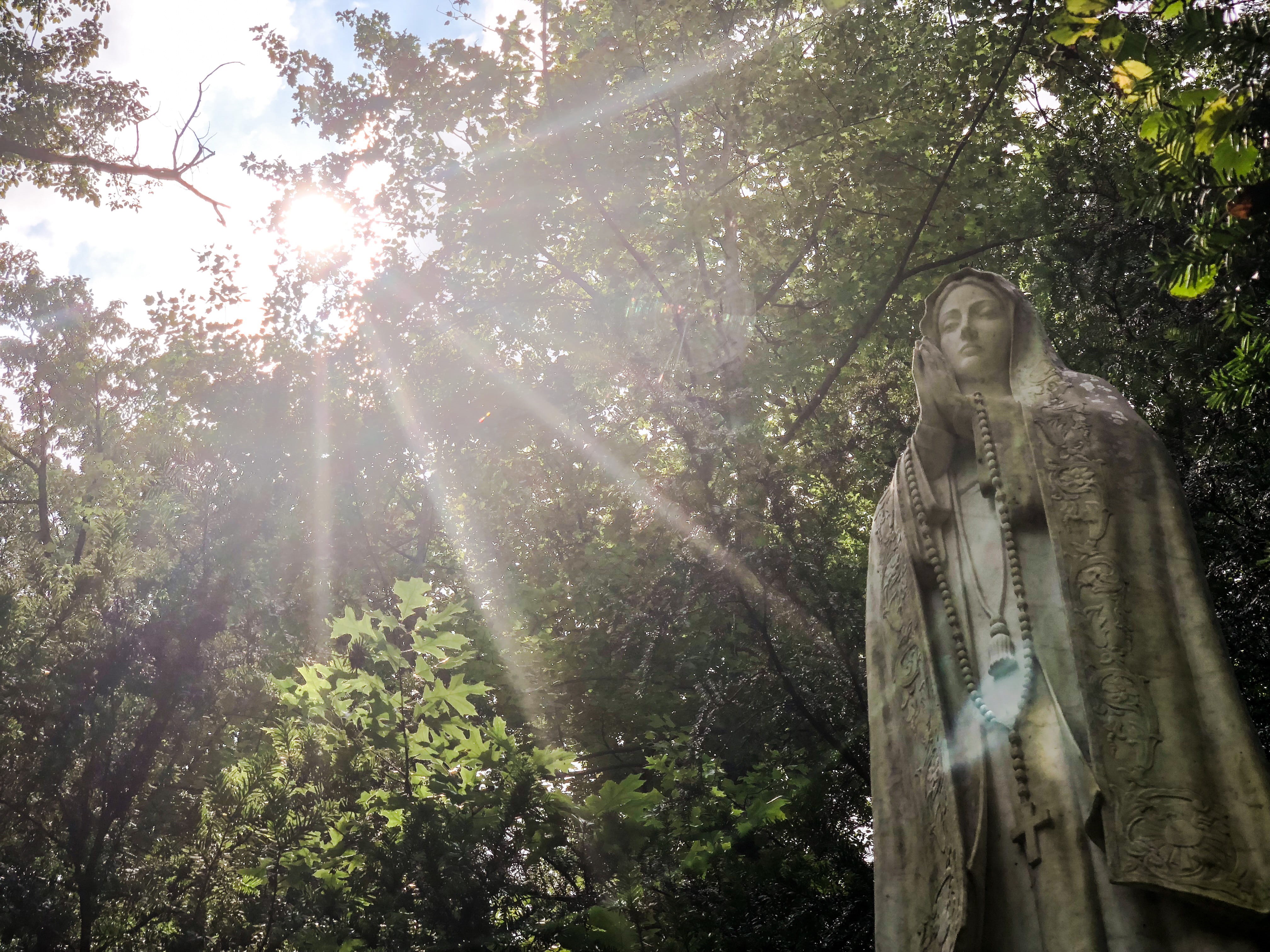 fatima, christian, low angle view, our lady, nature, human representation, sculpture, united states, emmitsburg, land, tree, lens flare, growth, plant, HD Wallpaper