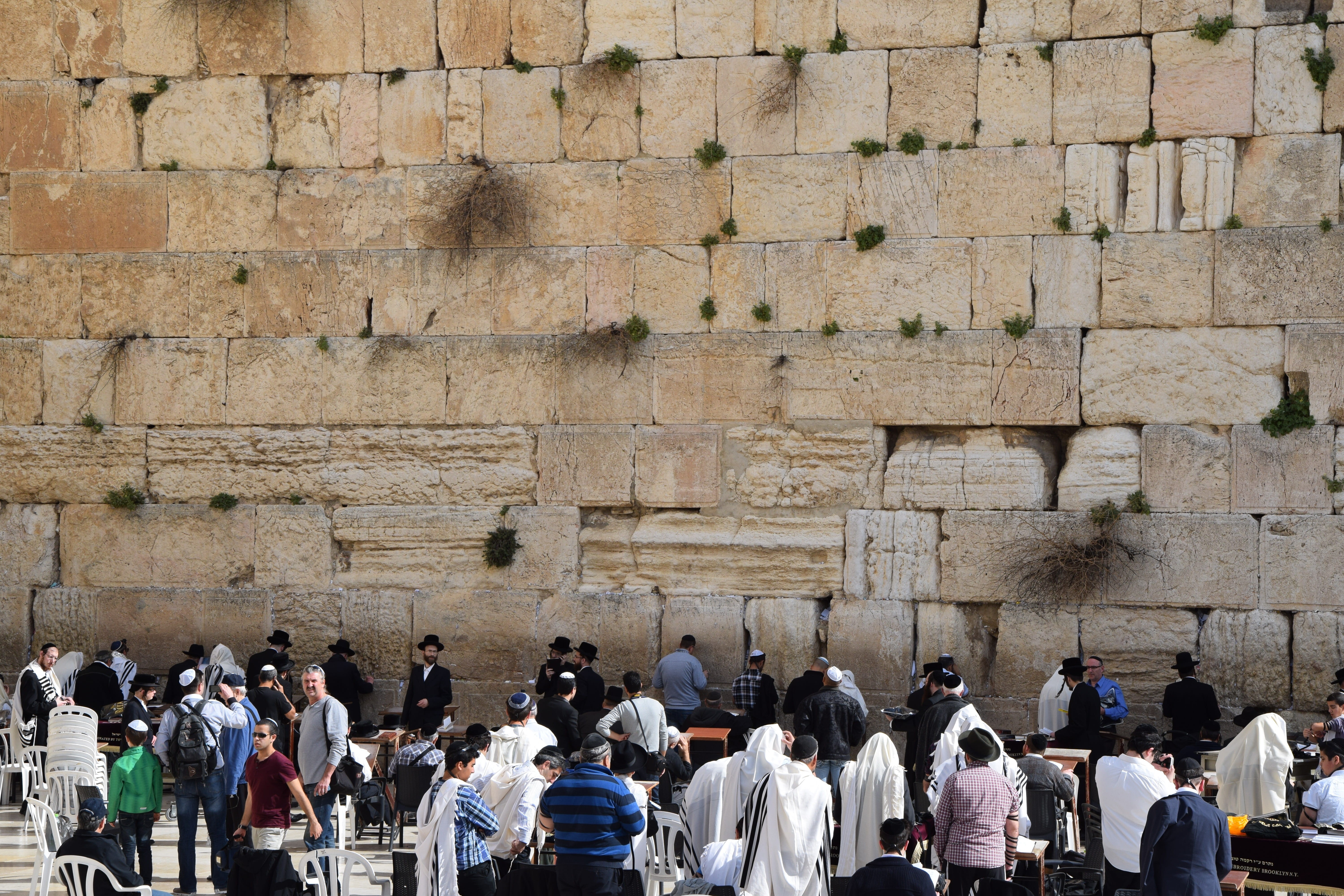 real people, group of people, built structure, Wailing Wall, people, 5K, history, place of worship, lifestyles, ancient, religion, day, archaeology, jew, HD Wallpaper