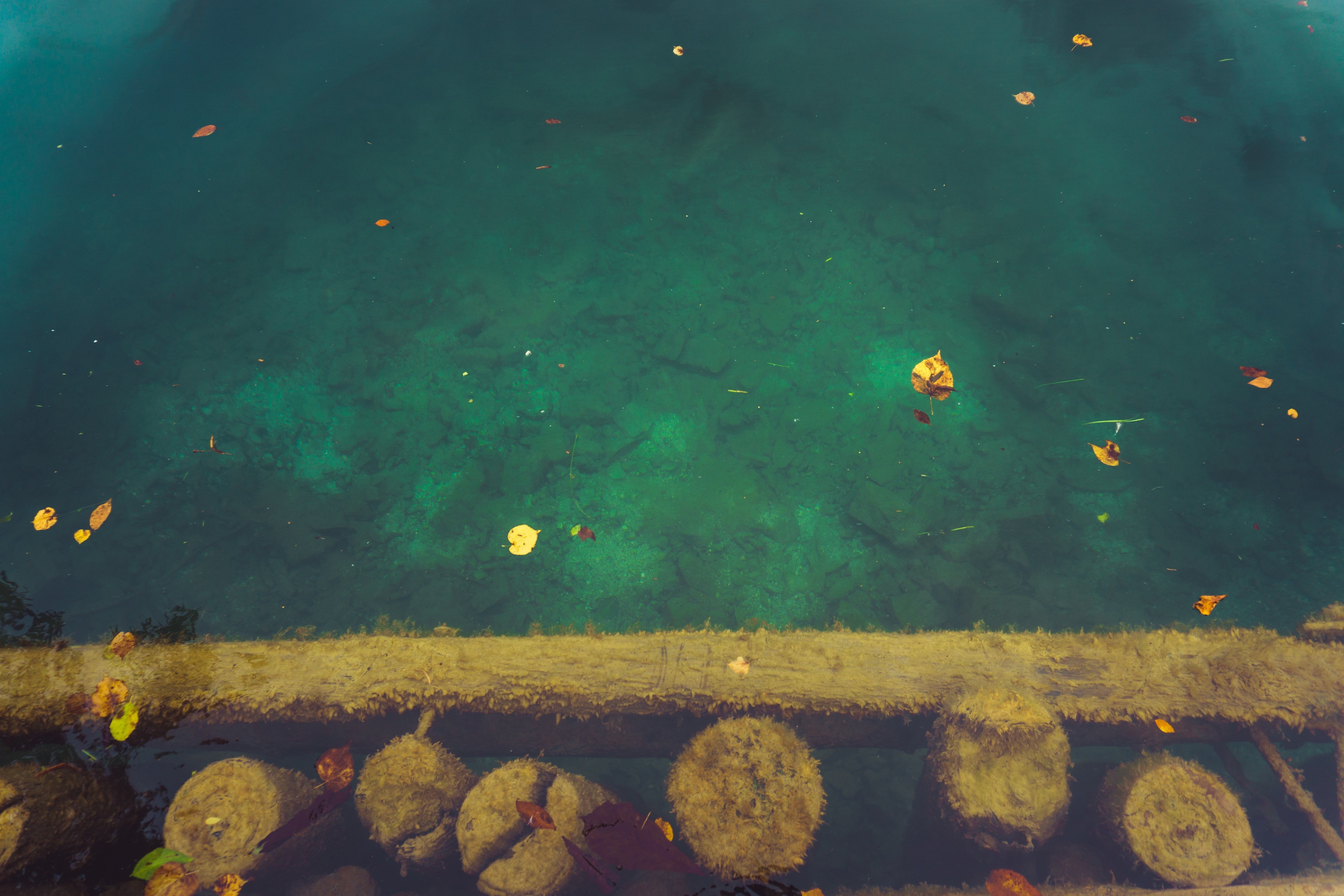 fish, water, high angle view, animal, 5K, no people, underwater, animal themes, marine, rock, outdoors, rock - object, vertebrate, nature, school of fish, HD Wallpaper