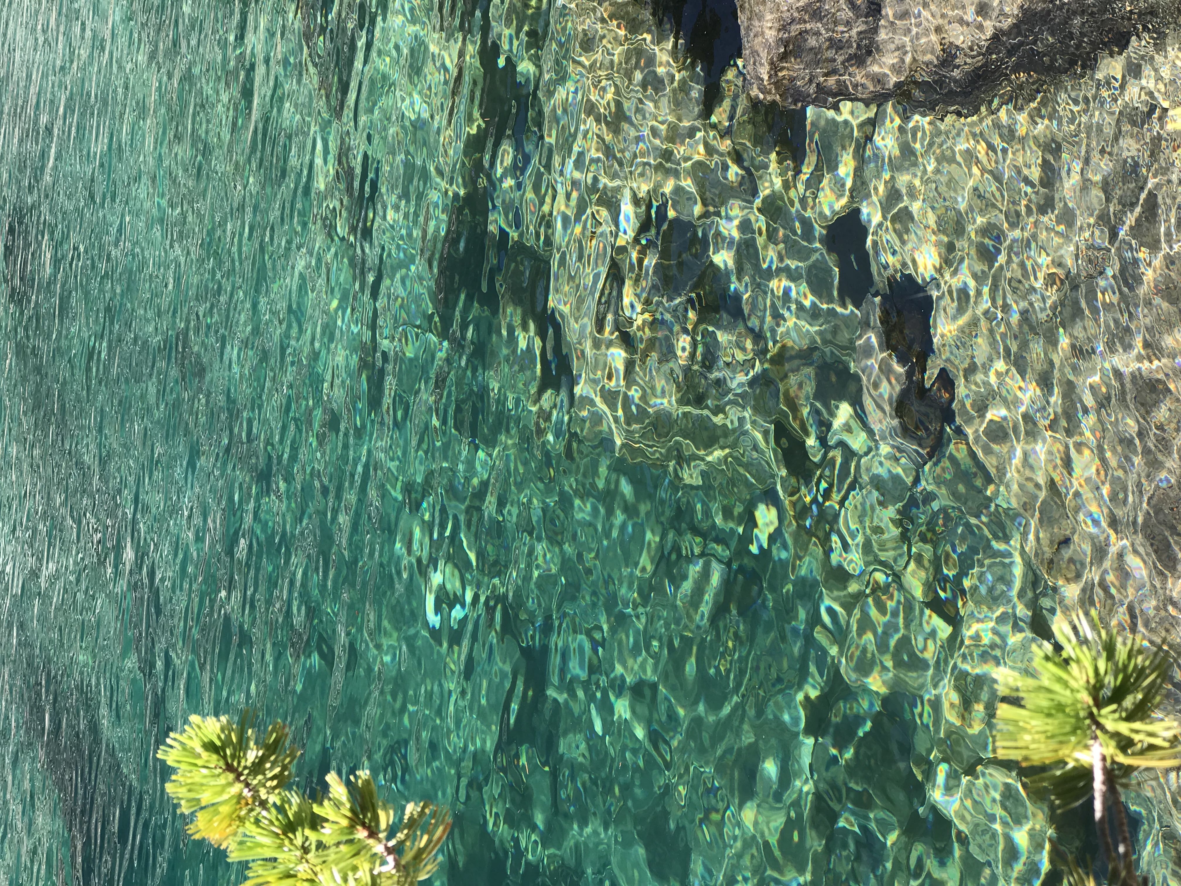 nature, no people, idaho, sea life, lake, animals in the wild, trees, marine, aquawater, sawtooth range, sunlight, swimming pool, day, rock, turquoise colored, HD Wallpaper