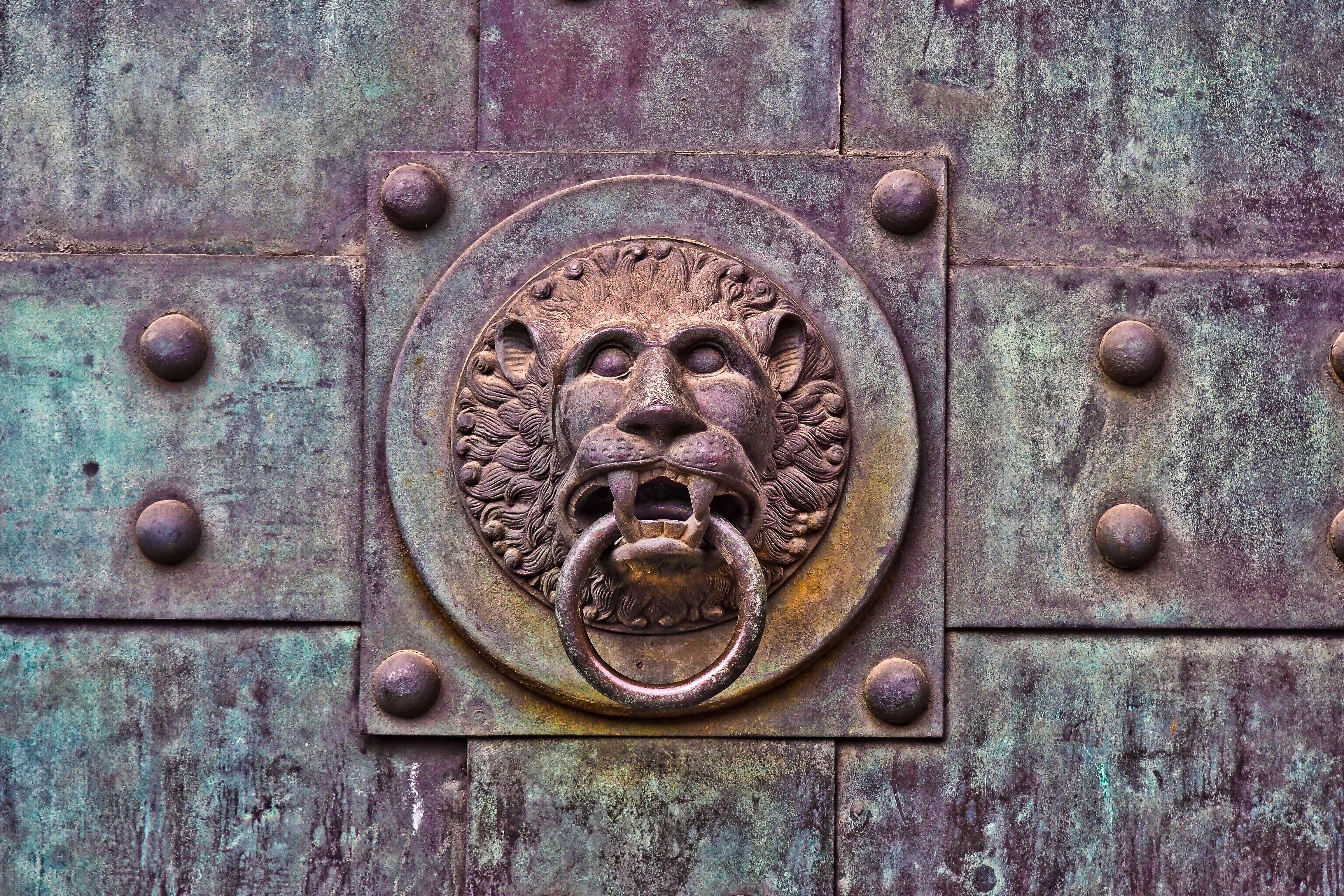 old door, doorknocker, backgrounds, security, lion, craft, close up, fittings, metal, closed, church door, historically, close-up, art, relief, art and craft, HD Wallpaper