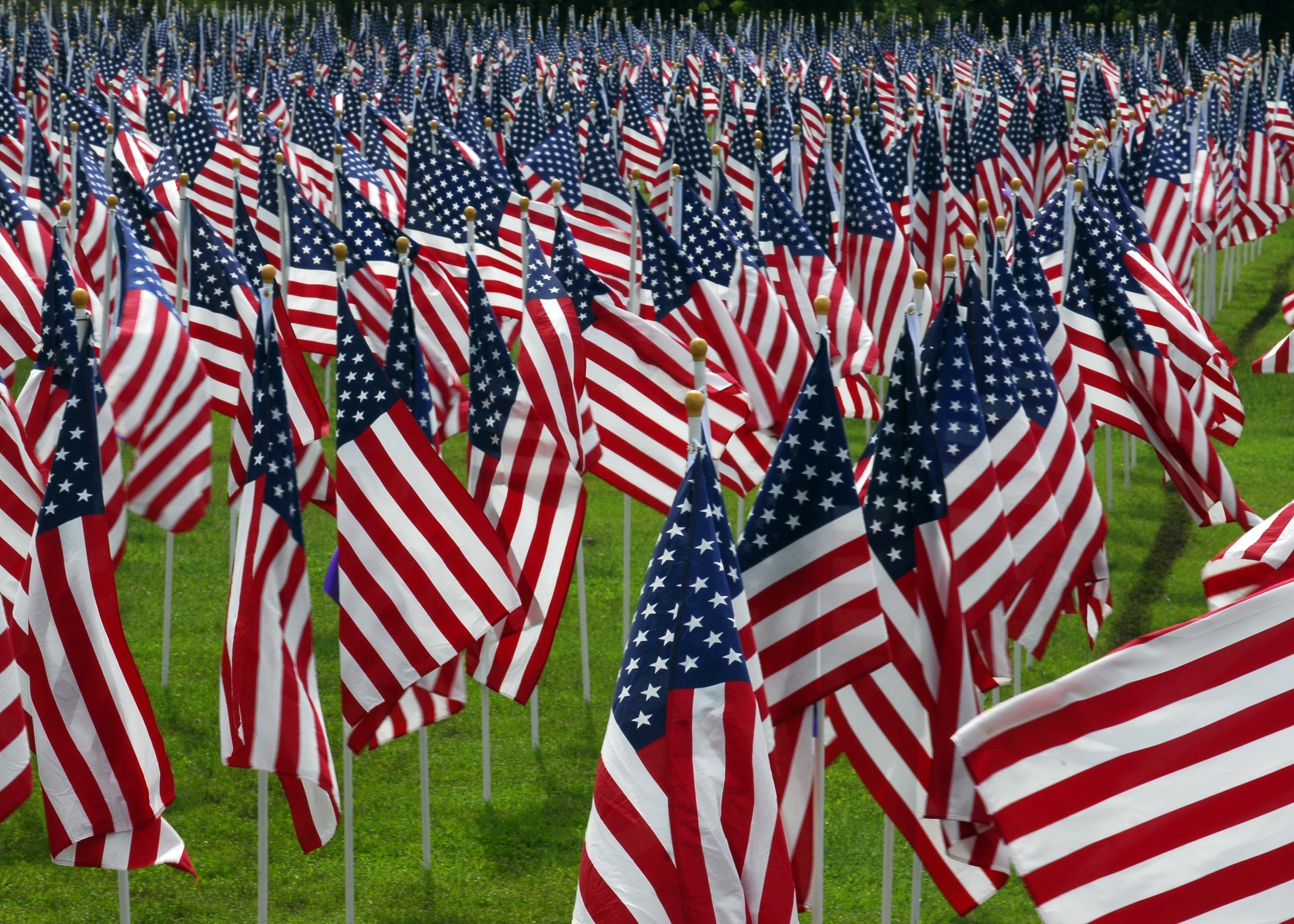sacrifice, pride, stars and stripes, mass, memorial, abundance, shape, flags, outdoors, blue, flag, national icon, government, graveyard, star shape, day, HD Wallpaper