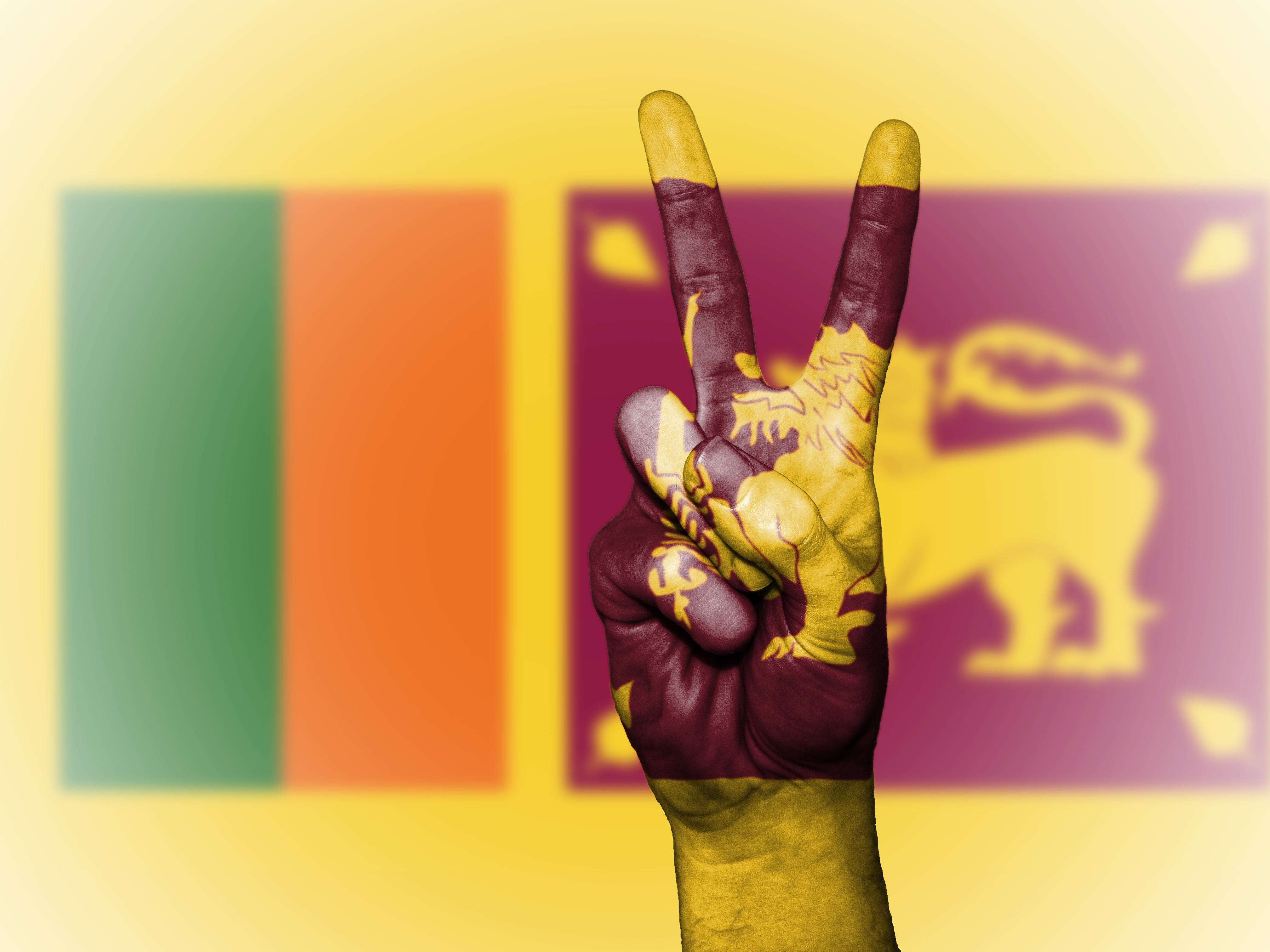 icon, nation, 4K, finger, lanka, human arm, human hand, colors, indoors, sri lanka, national, men, human body part, art and craft, paint, wall - building feature, HD Wallpaper