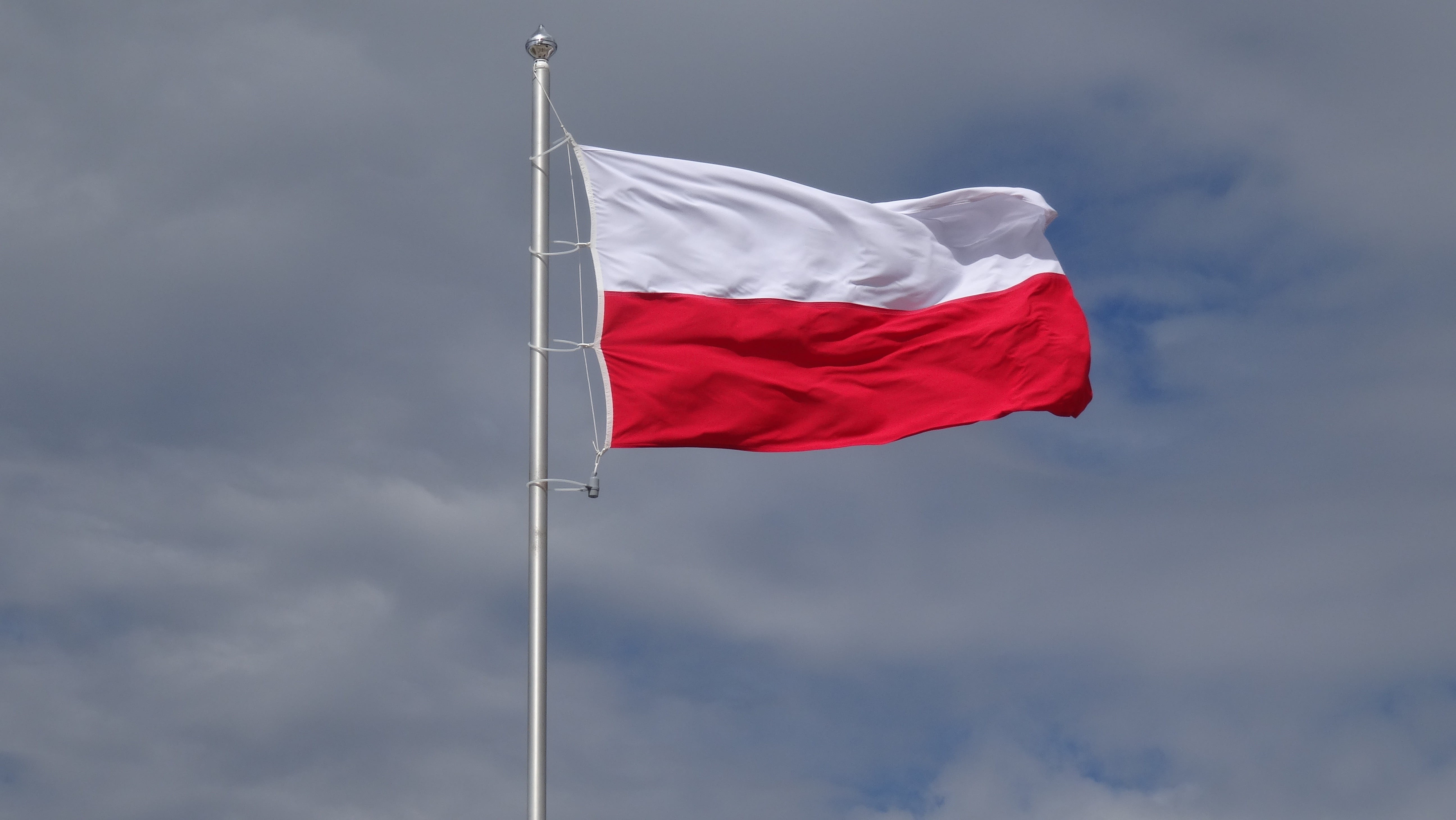 emotion, white color, polish, eagle, the ceremony, low angle view, graphics, polish flag, white, independence, national colors, environment, wind, coat of arms, HD Wallpaper