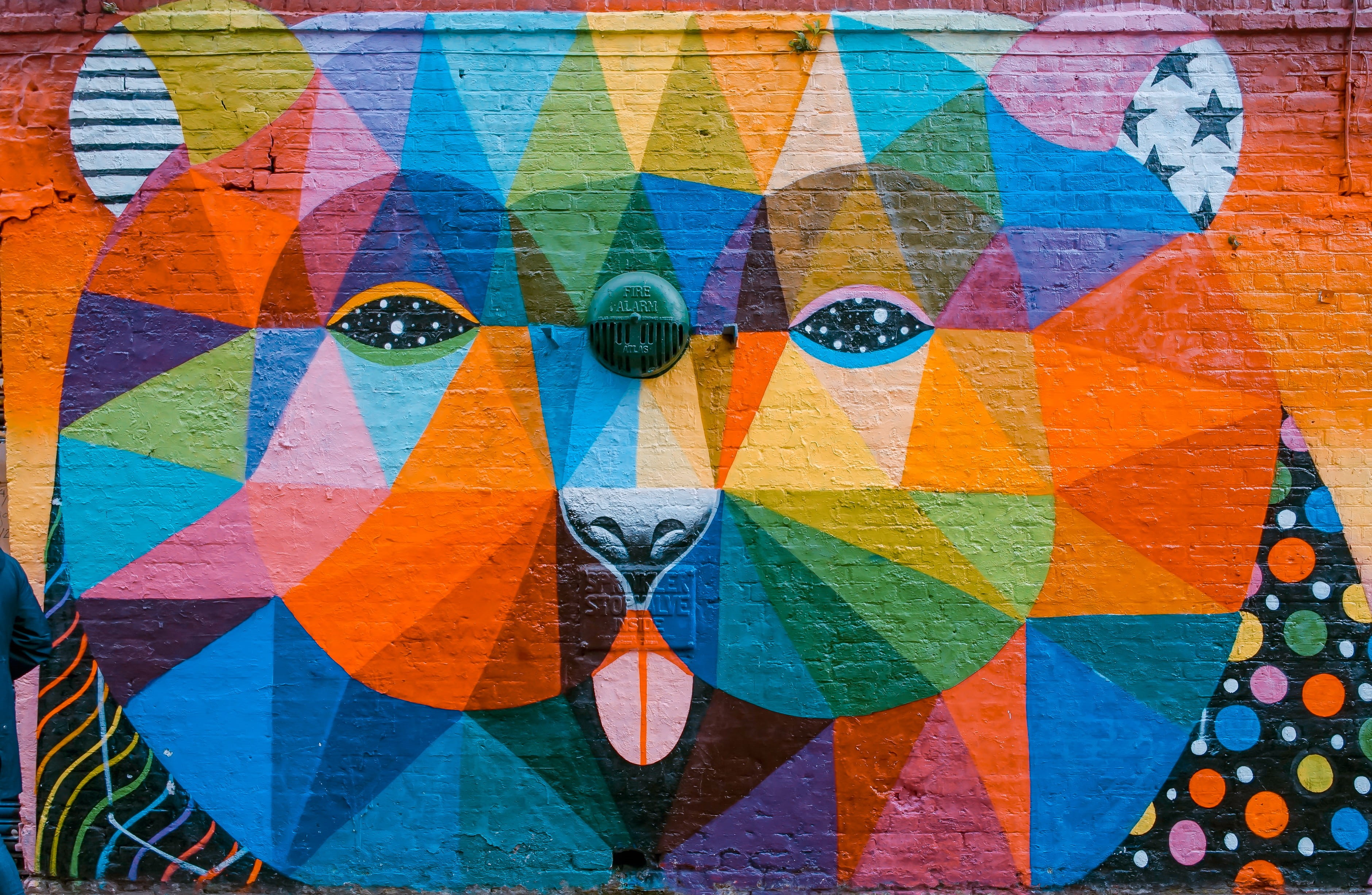 graphic, texture, close-up, bear, geometric shapes, saturated color, grafitti, mural, selective, artistic, creativity, graffiti, vibrant color, rainbow, HD Wallpaper