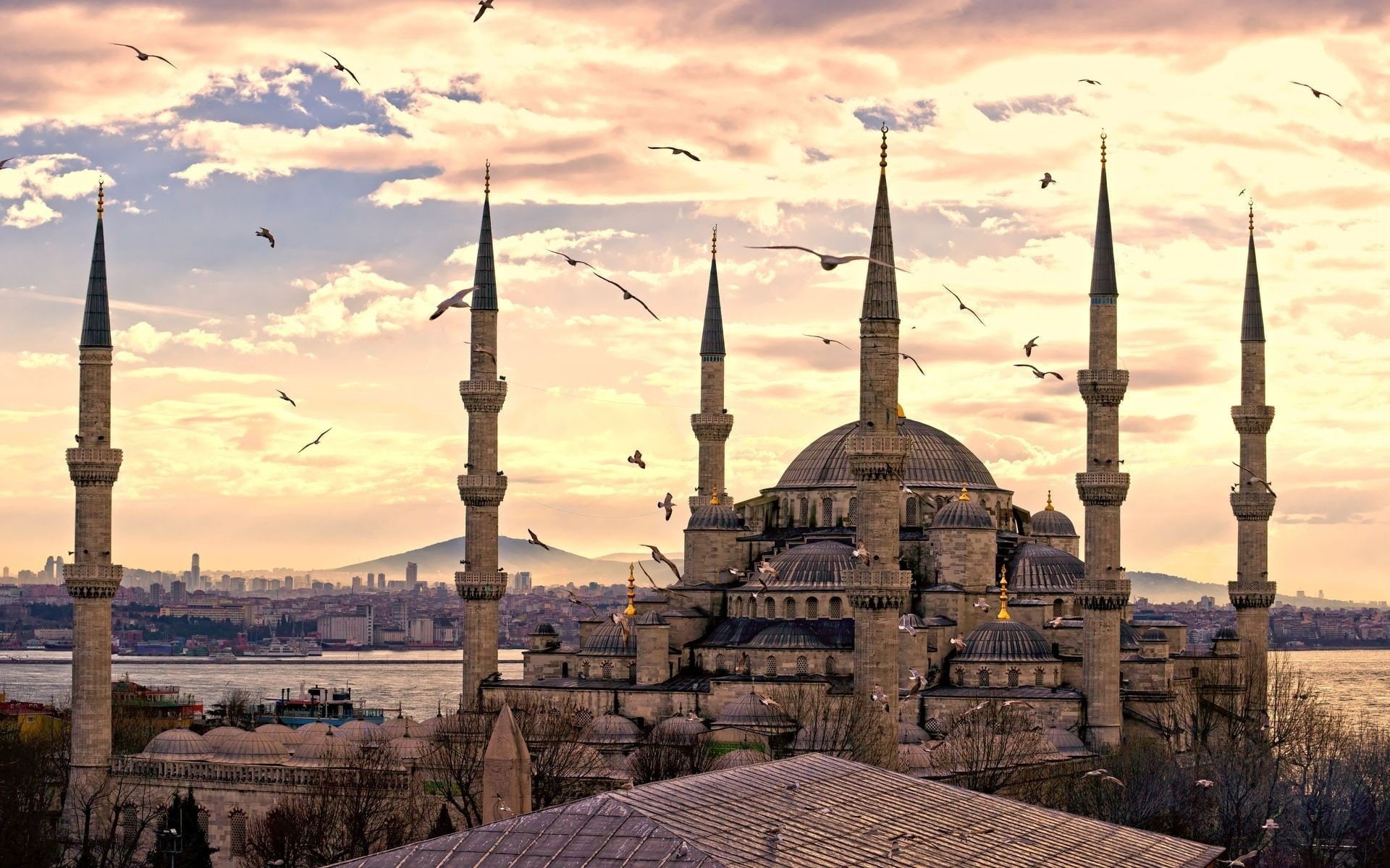 1080P, x, 1920x1200 px, sultan, Mosques, art, mosque, ISLAM, bears, Sultan Ahmed Mosque, hd, Istanbul, Turkey, ahmed, px, animals, HD Wallpaper